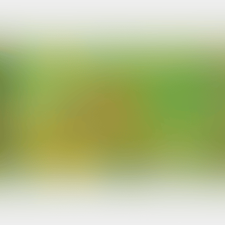 Le Chrysanthemes (preview)