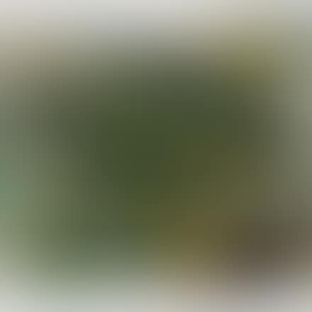 Landscape (preview)