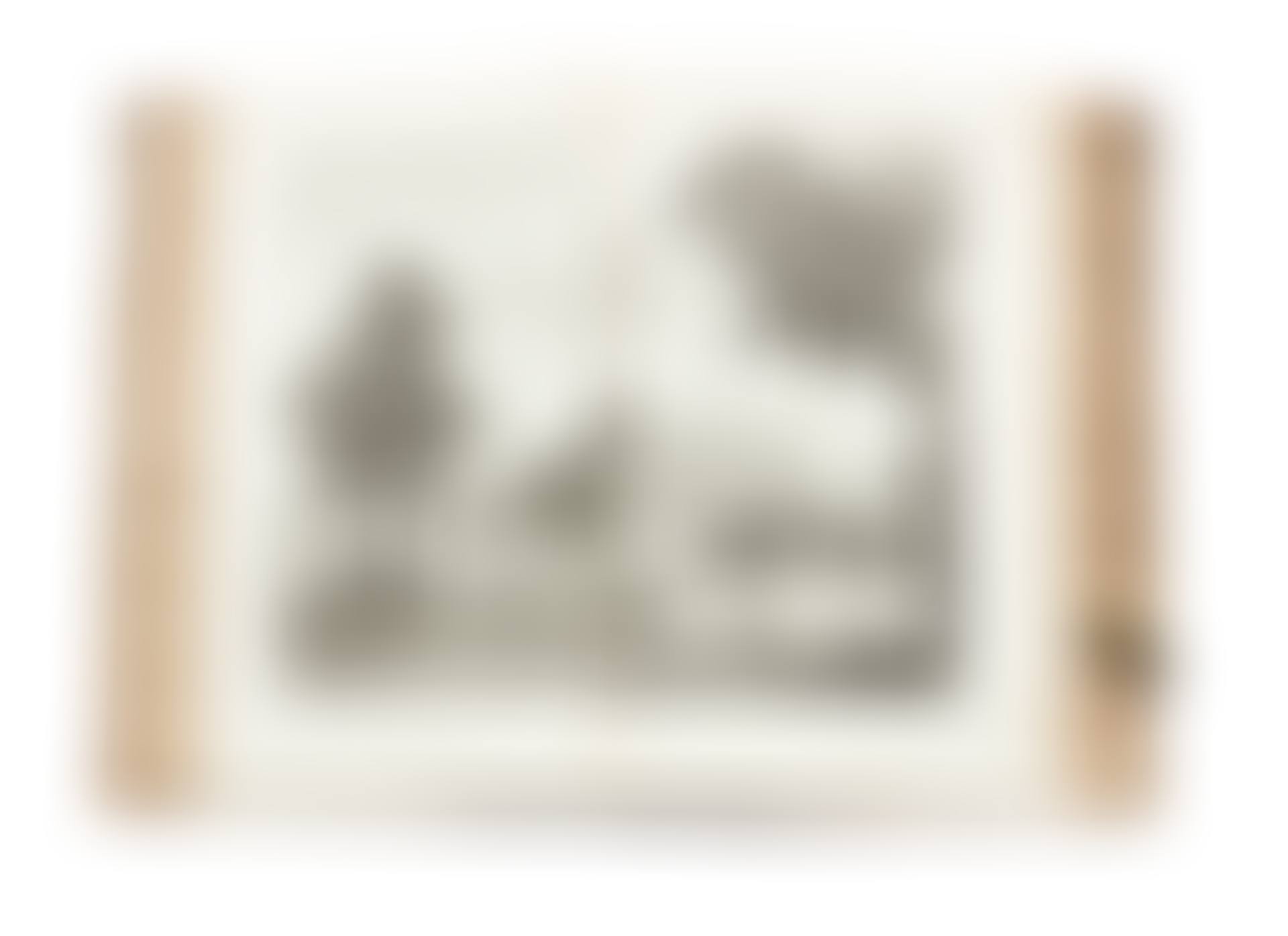 Novum ac Magnum Theatrum urbium Belgicae Foederatae . (preview)