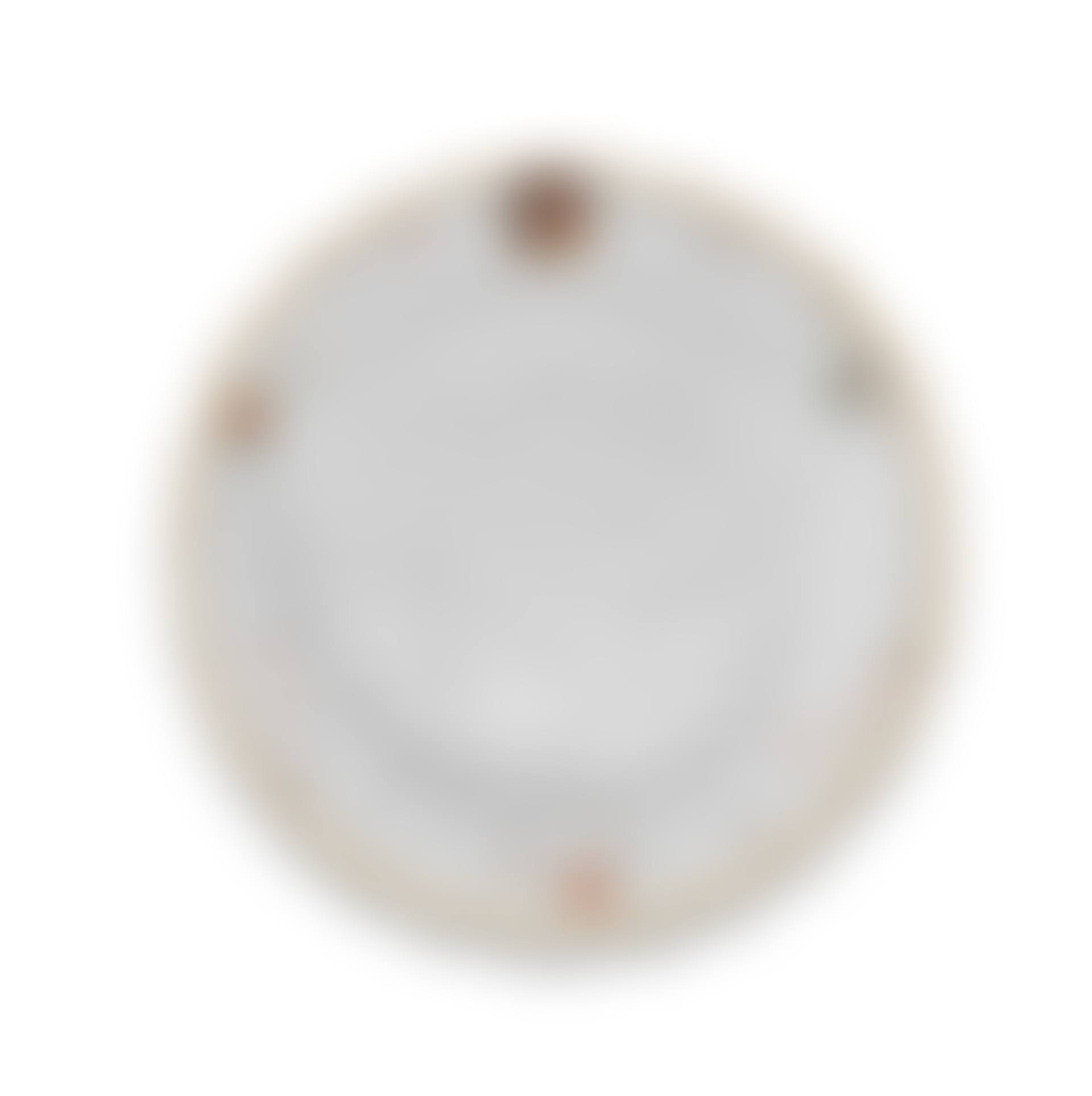 A Meissen dish from the Swan Service (preview)