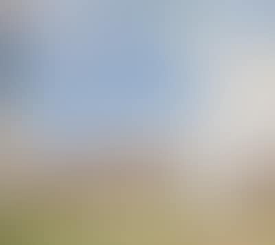 Tiroler Berghof (preview)