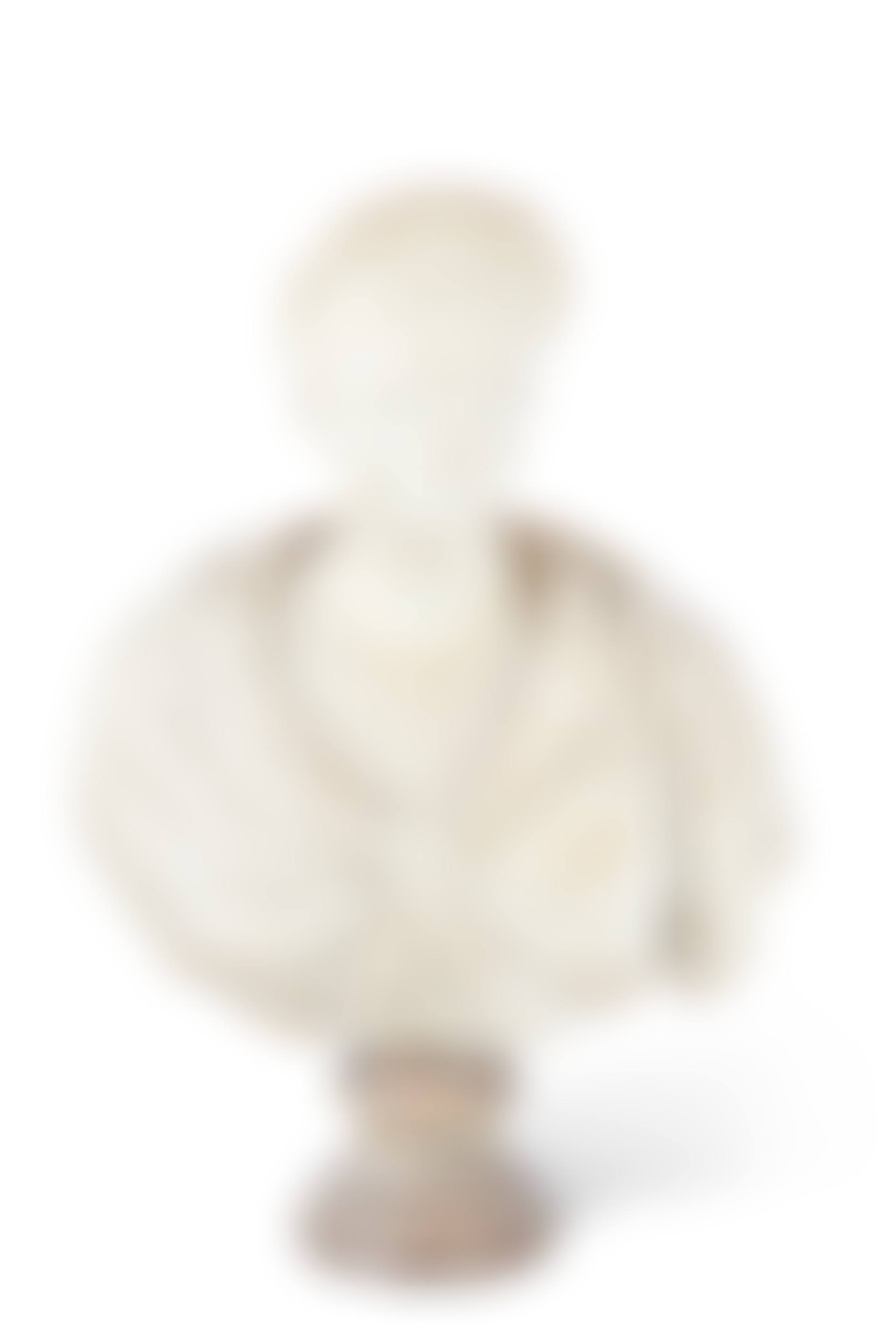 A bust of a woman, probably Fulvia Plautilla (preview)