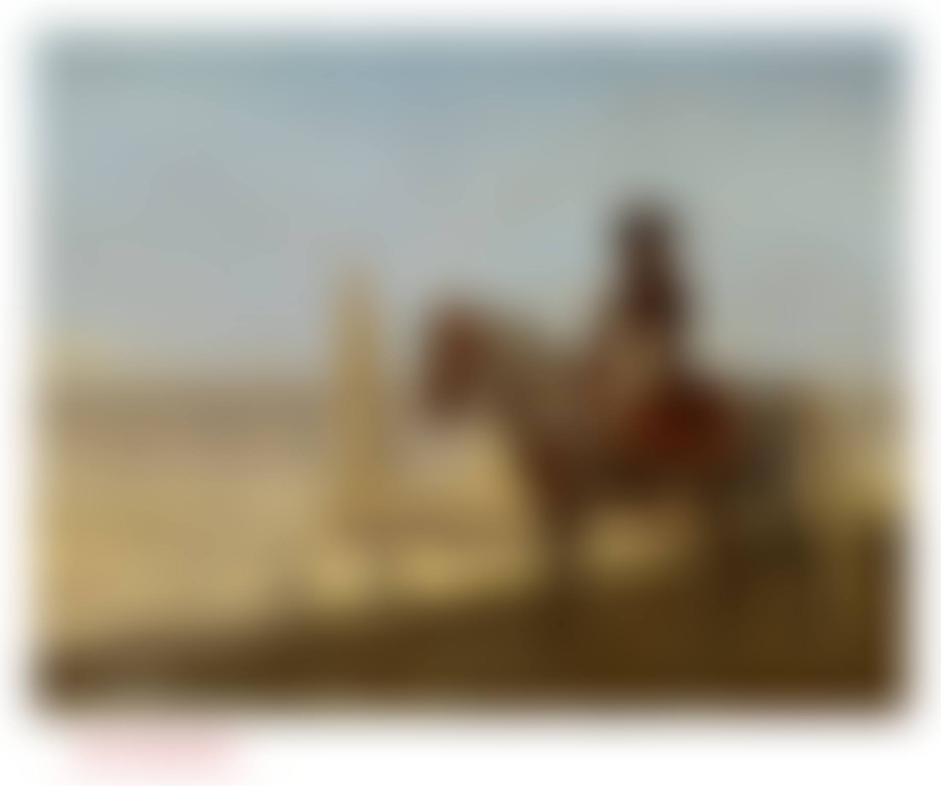Le Général Bonaparte au Caire, ébauche (preview)