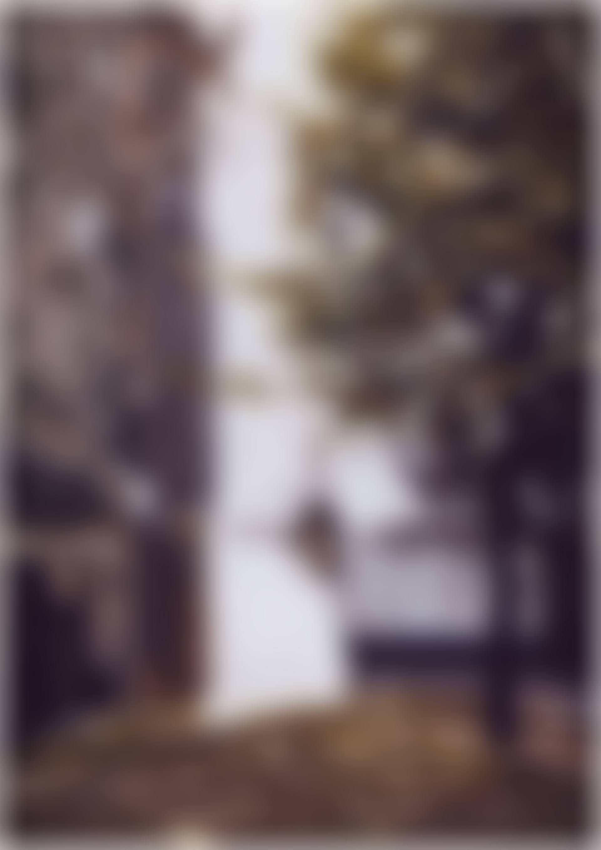Domecke I (preview)