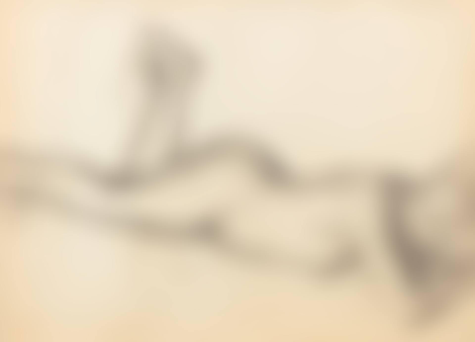 Femme nue coucheé, vue de profile (preview)