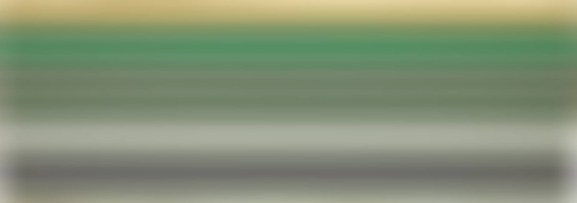 Shadow Line (preview)