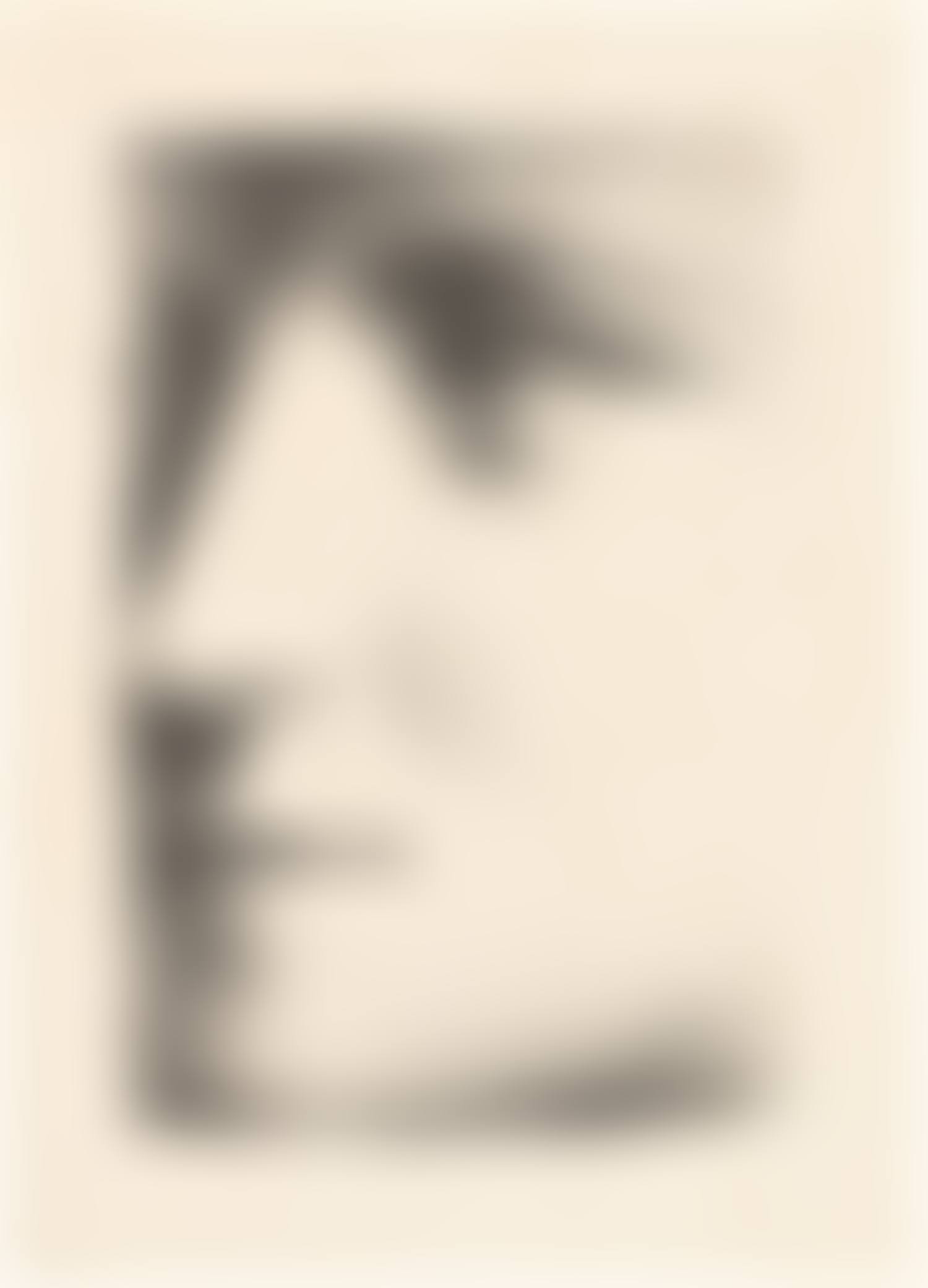 Visage de Marie-Thérèse (Face of Marie-Thérèse) (Bl. 95, Ba. 243, M. XXIII, see C. bks 16) (preview)