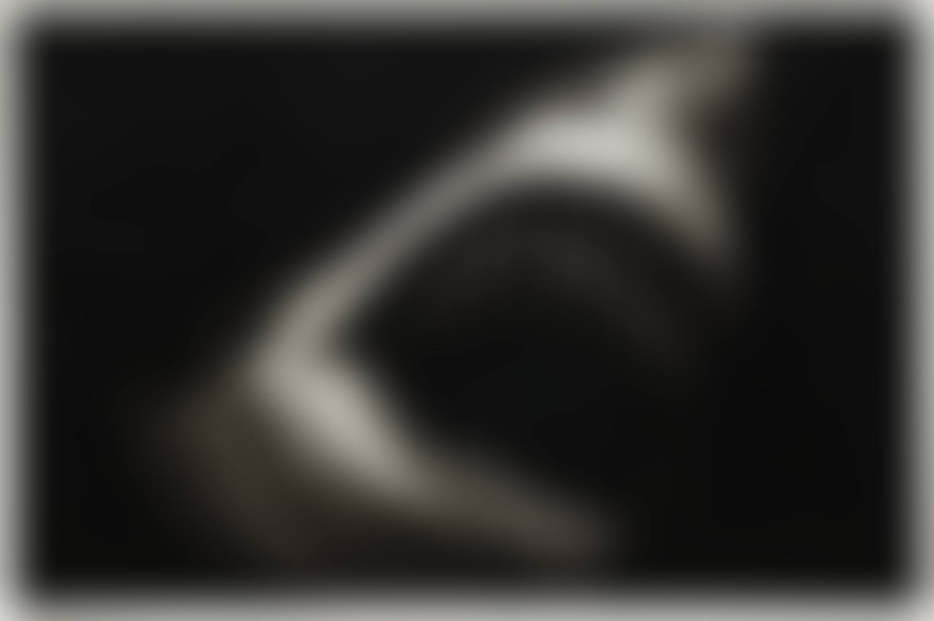 Study of Shark with Scar (preview)
