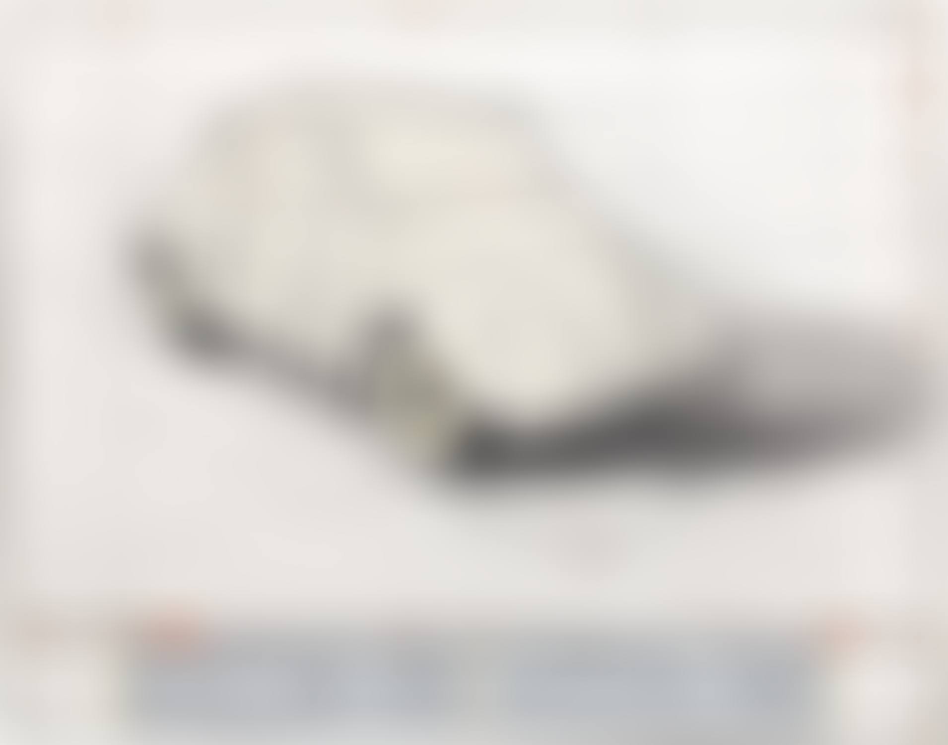 Wrapped Volkswagen, Project for 1961 Volkswagen Beetle Saloon (preview)