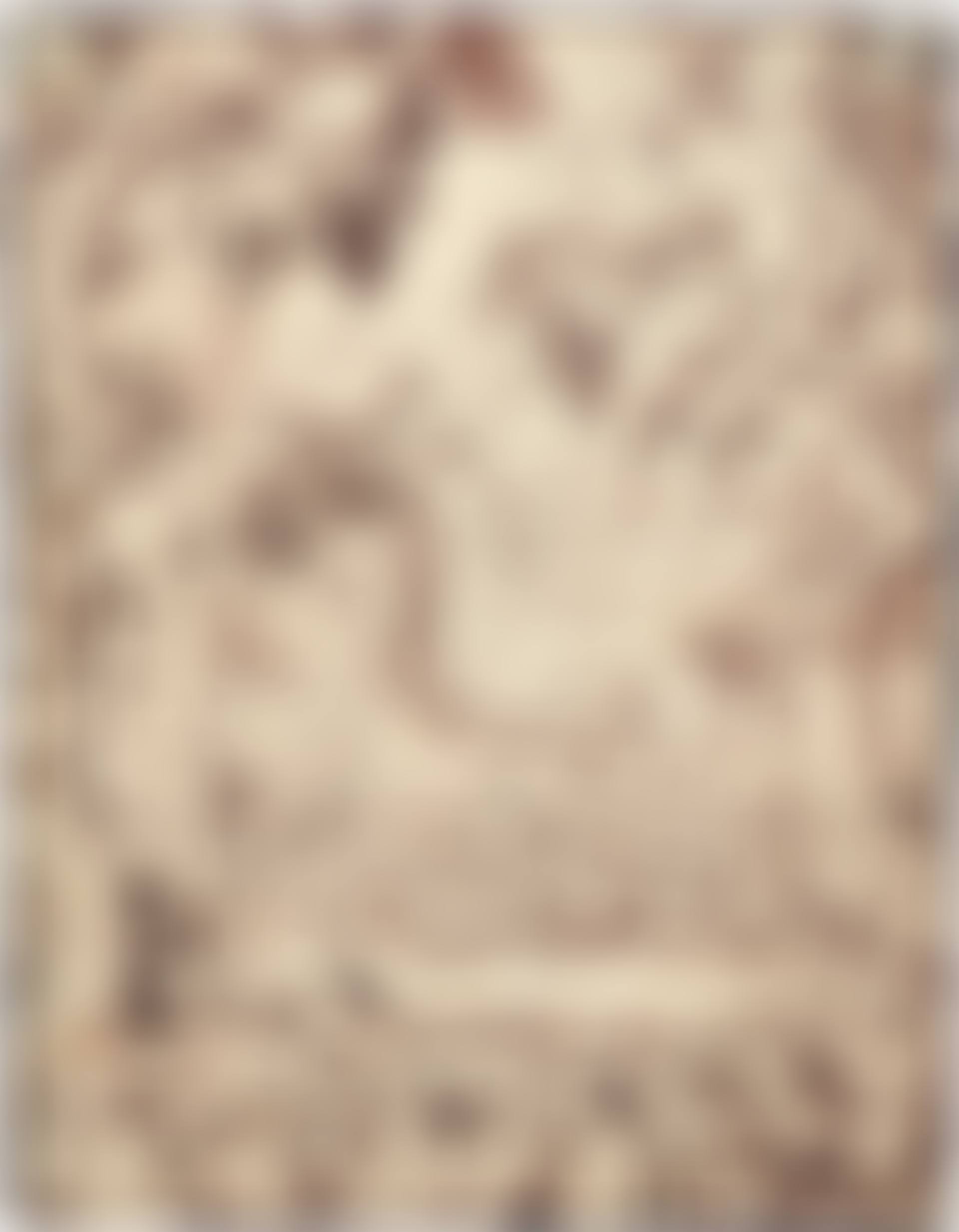 Christ Preaching (preview)