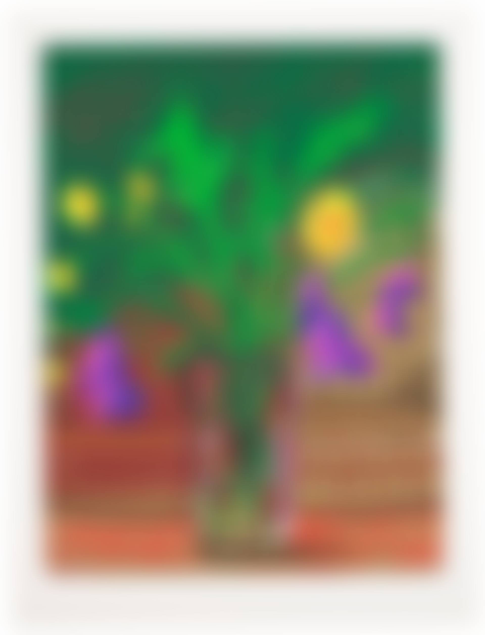 Dandelions (preview)