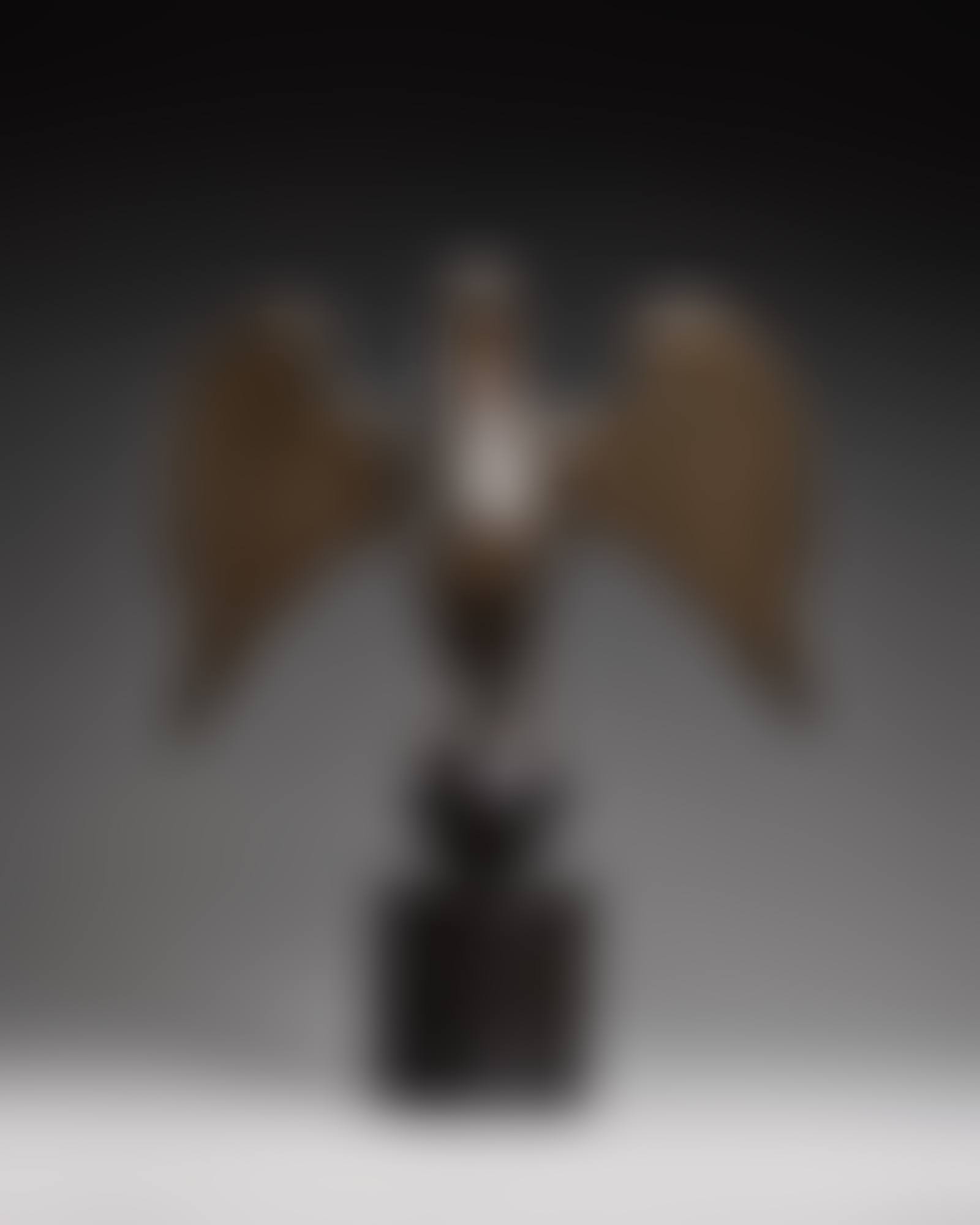 Eagle from a lectern (preview)