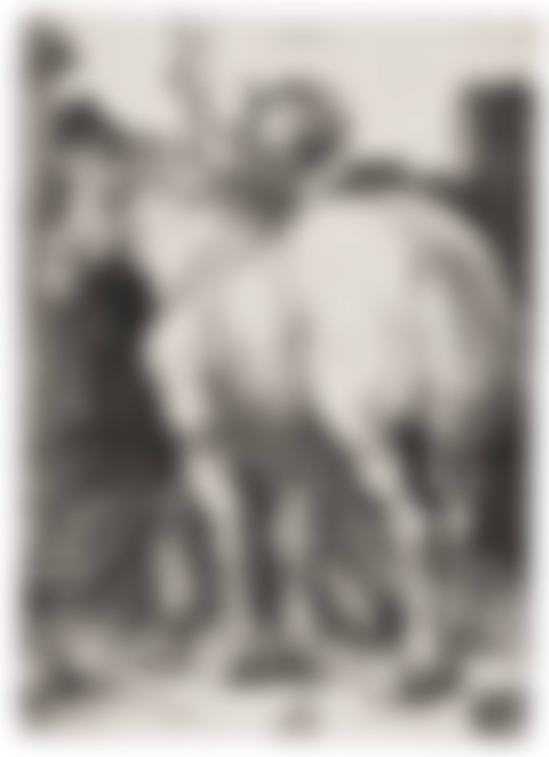 The Large Horse (preview)
