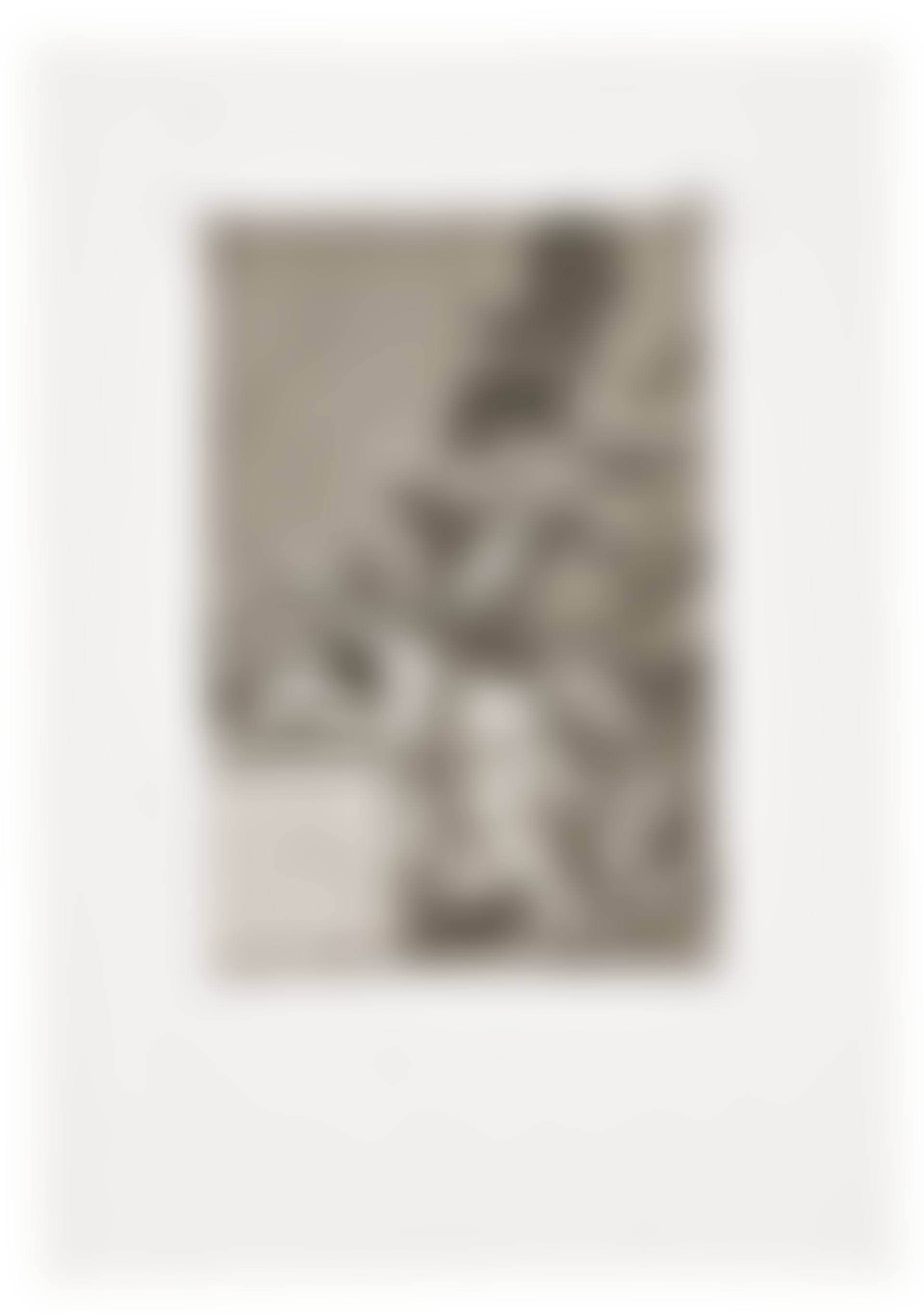 Los Caprichos (preview)