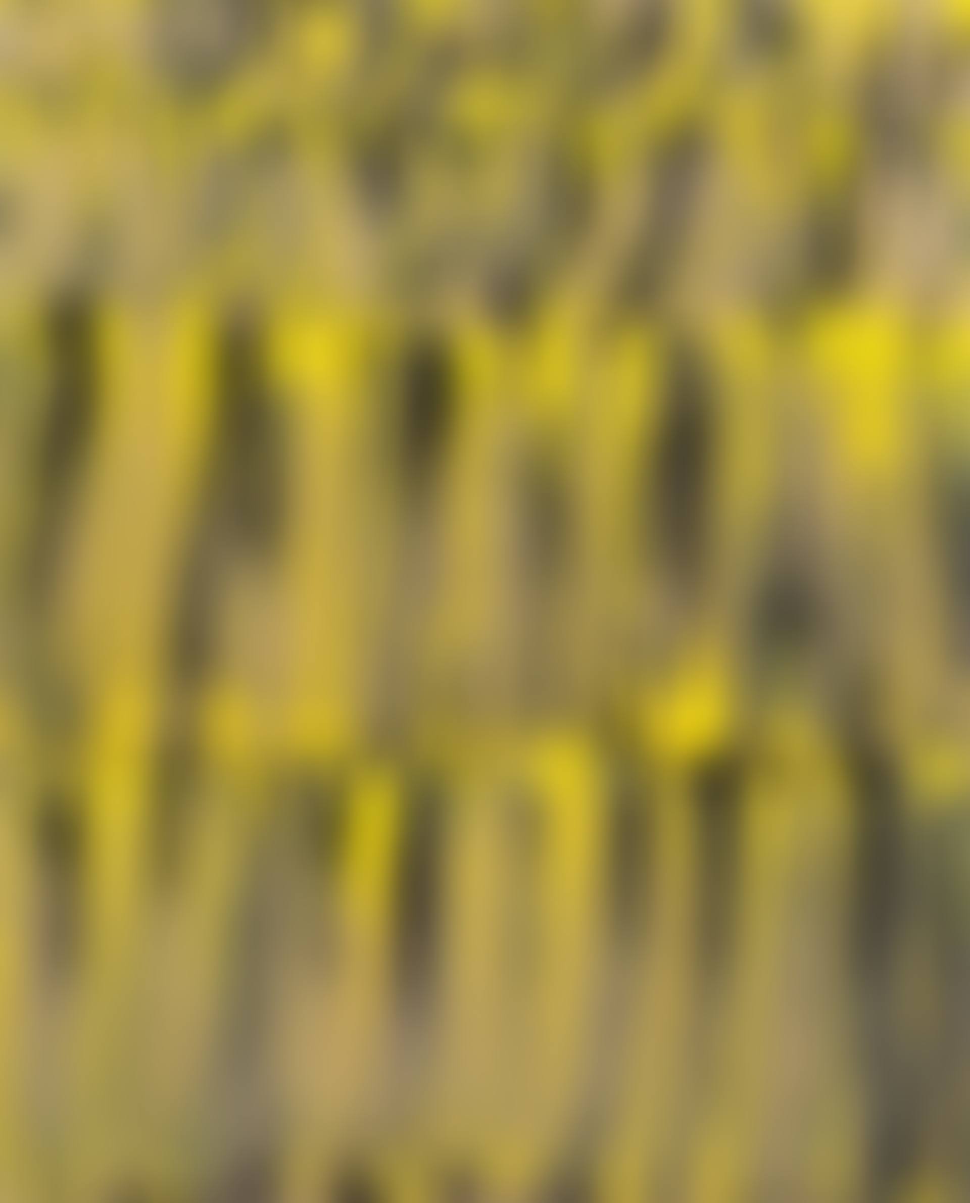 Bodyscape 76-1 (preview)