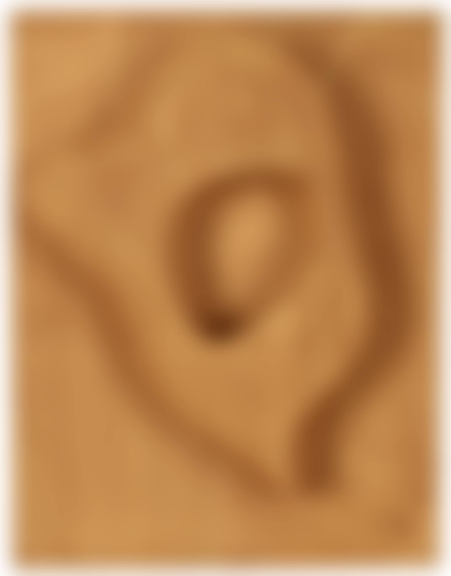 "Profile" (preview)