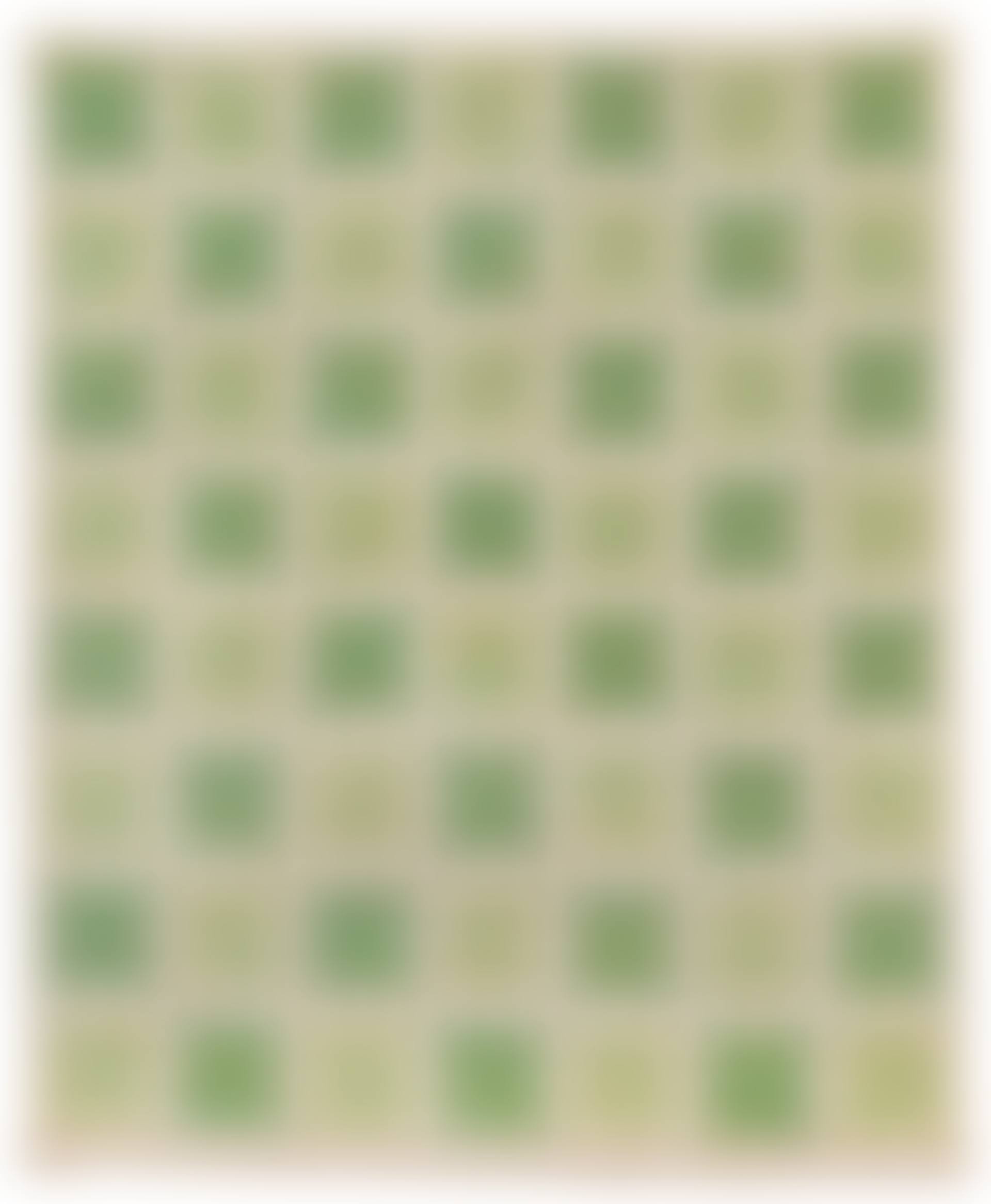 CARPET (preview)