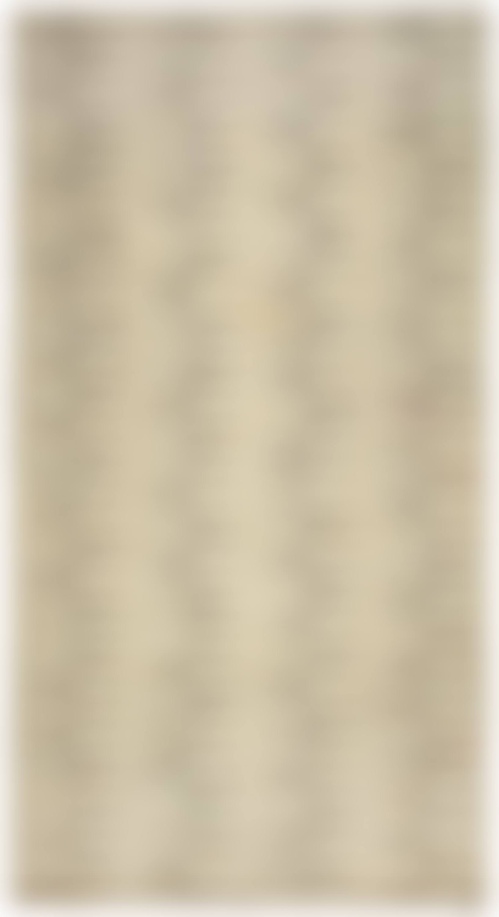 CARPET (preview)