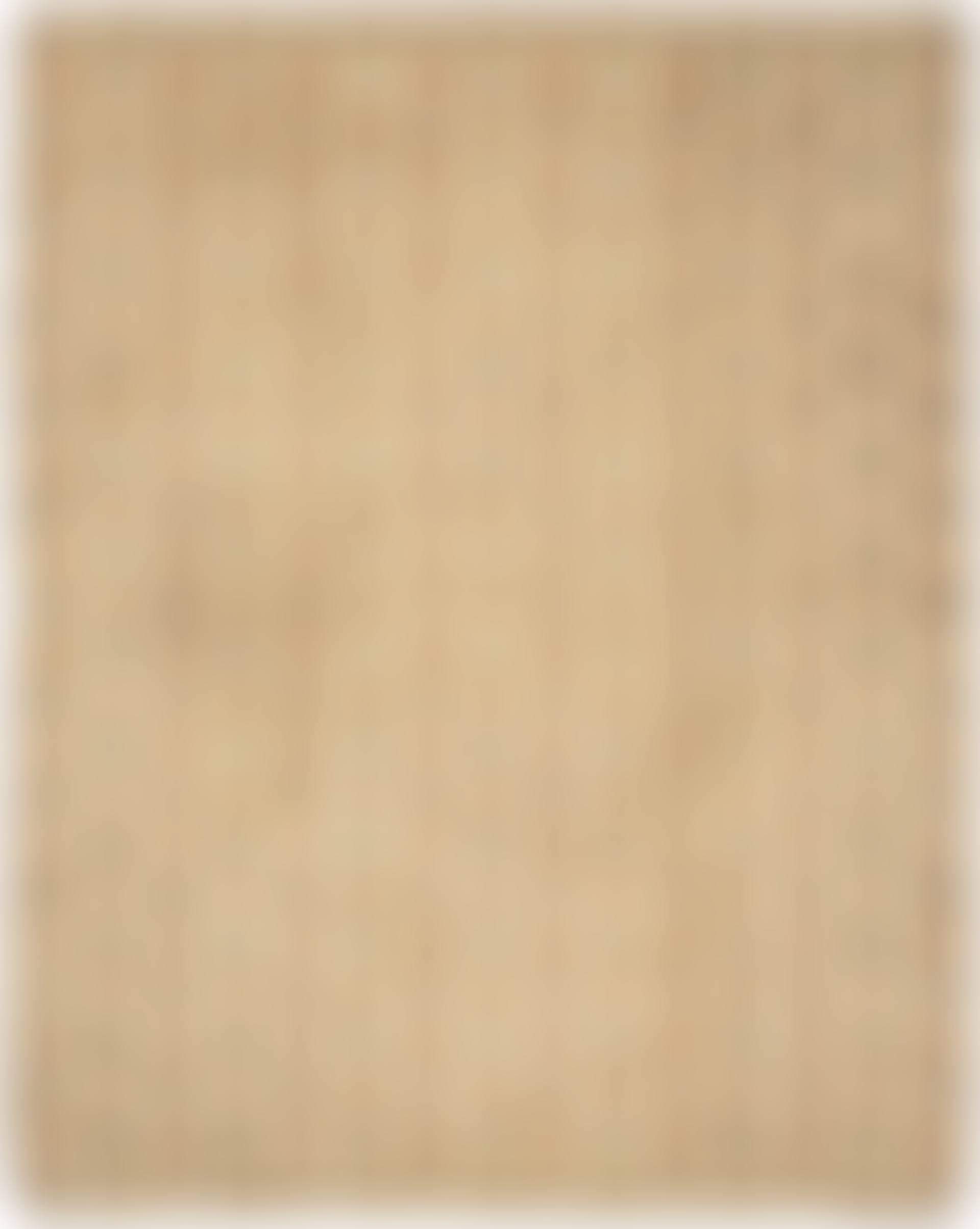 CARPET. Reliefflossa (preview)