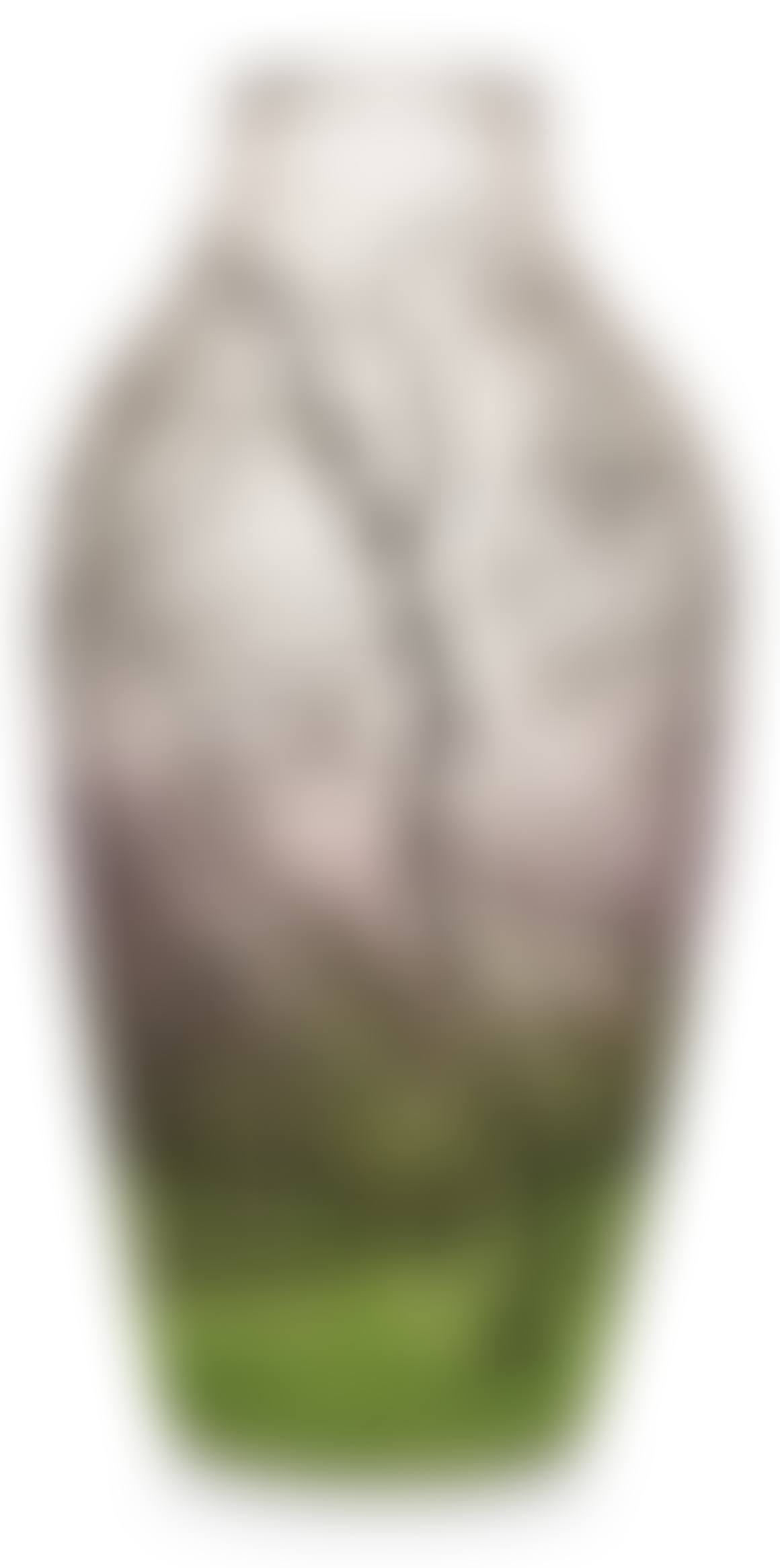 An art nouveau Daum glass vase (preview)