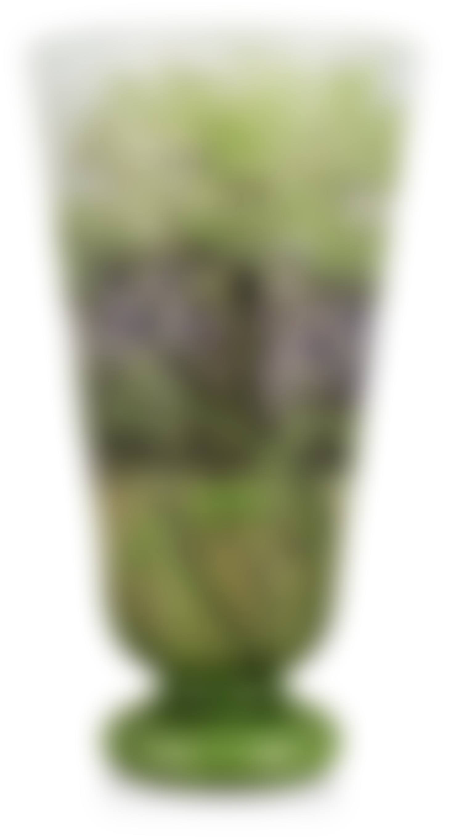 An art nouveau Daum glass vase (preview)