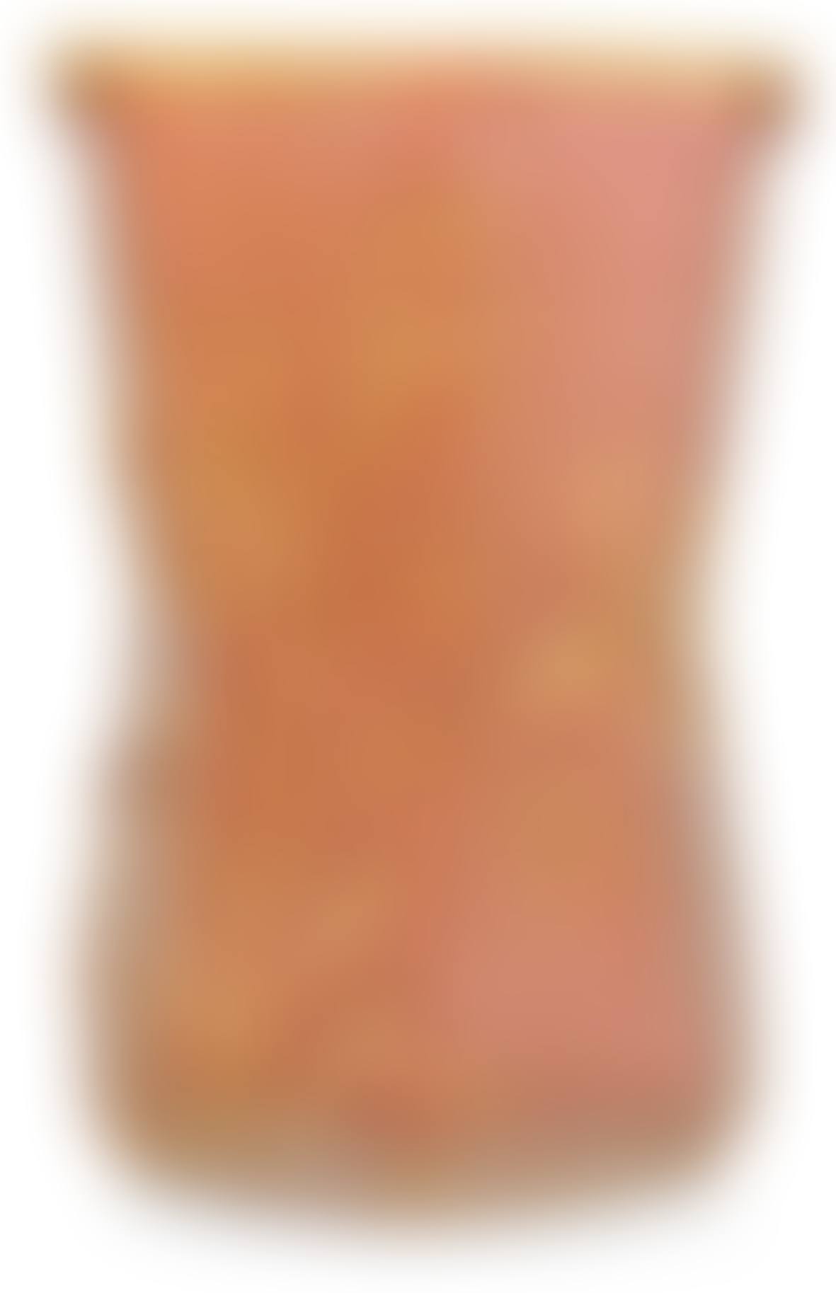 A Daum Art Nouveau glass vase (preview)