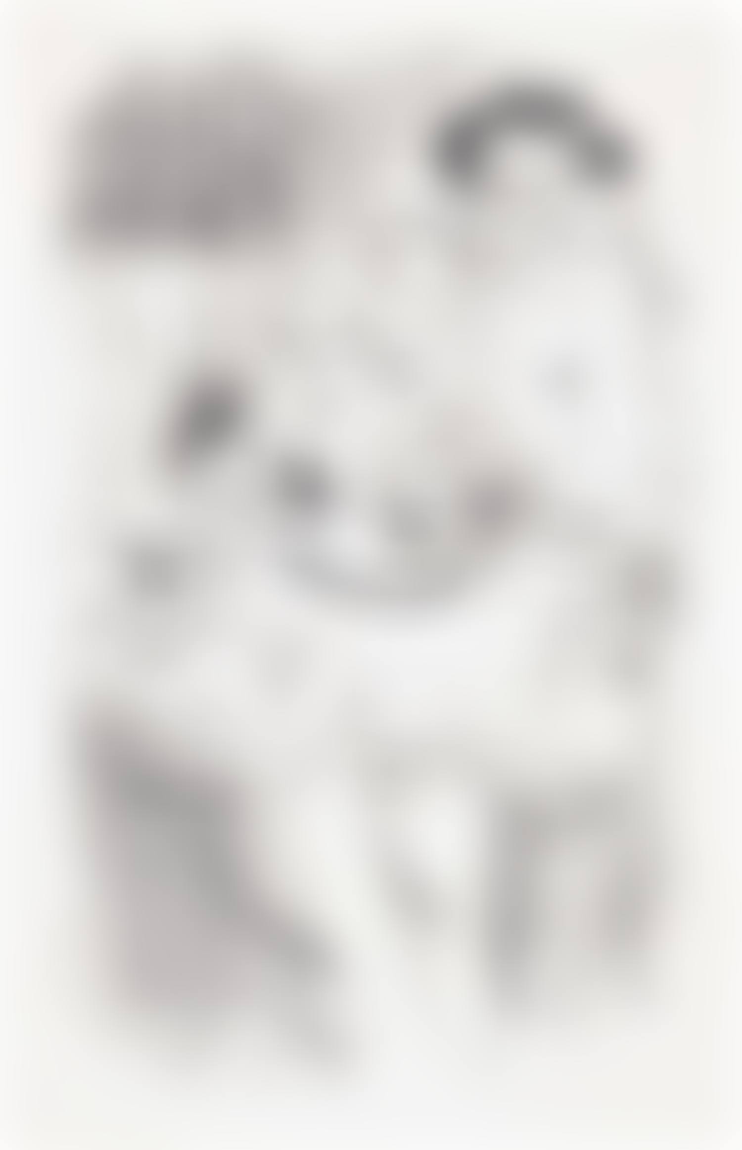 Danseuse debout, accoudée (Dancer standing accoudée), from Dix danseuses (Ten Dancers) (D. 482) (preview)