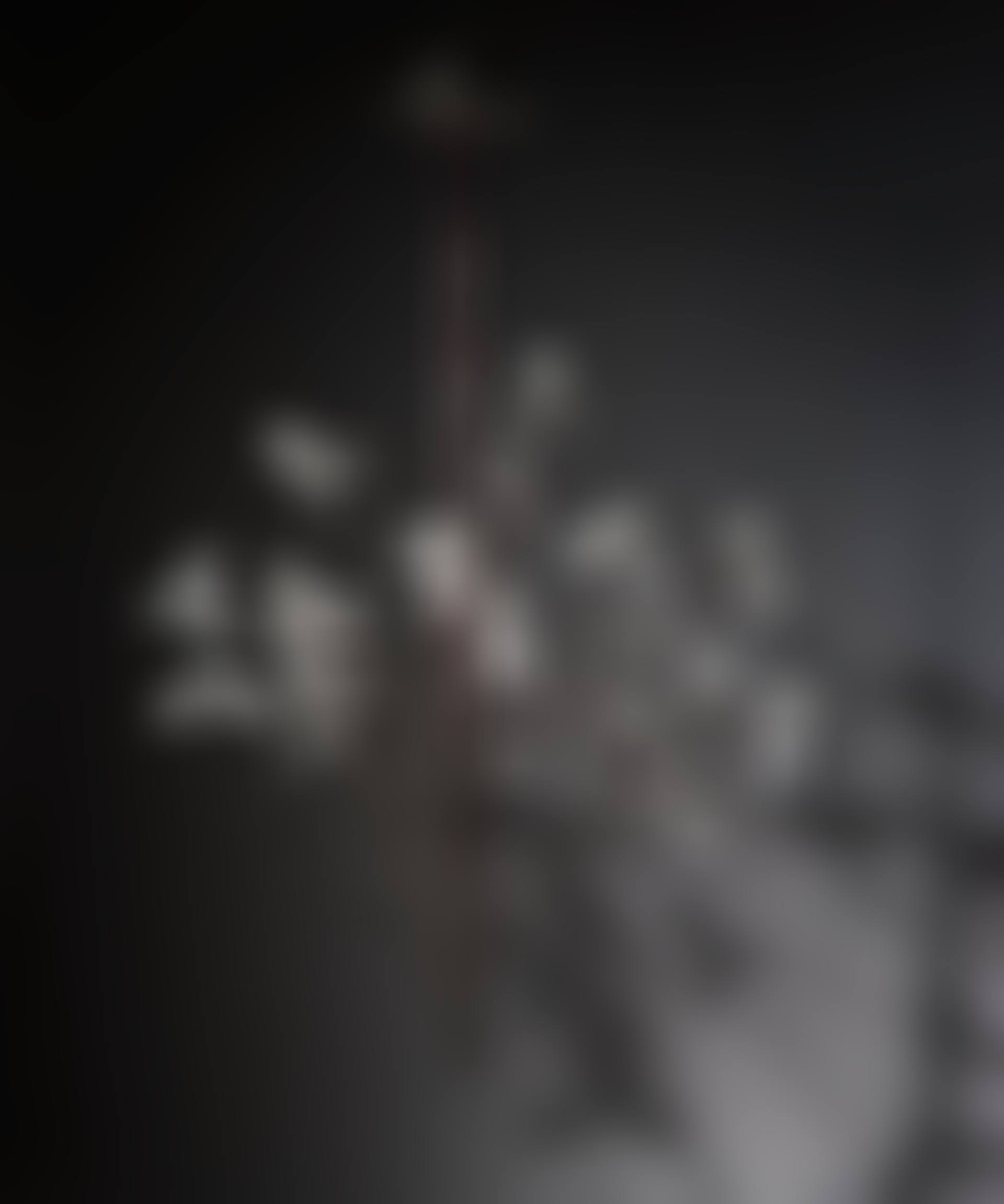 An Ingo Maurer ceiling lamp "Birds Birds Birds" (preview)