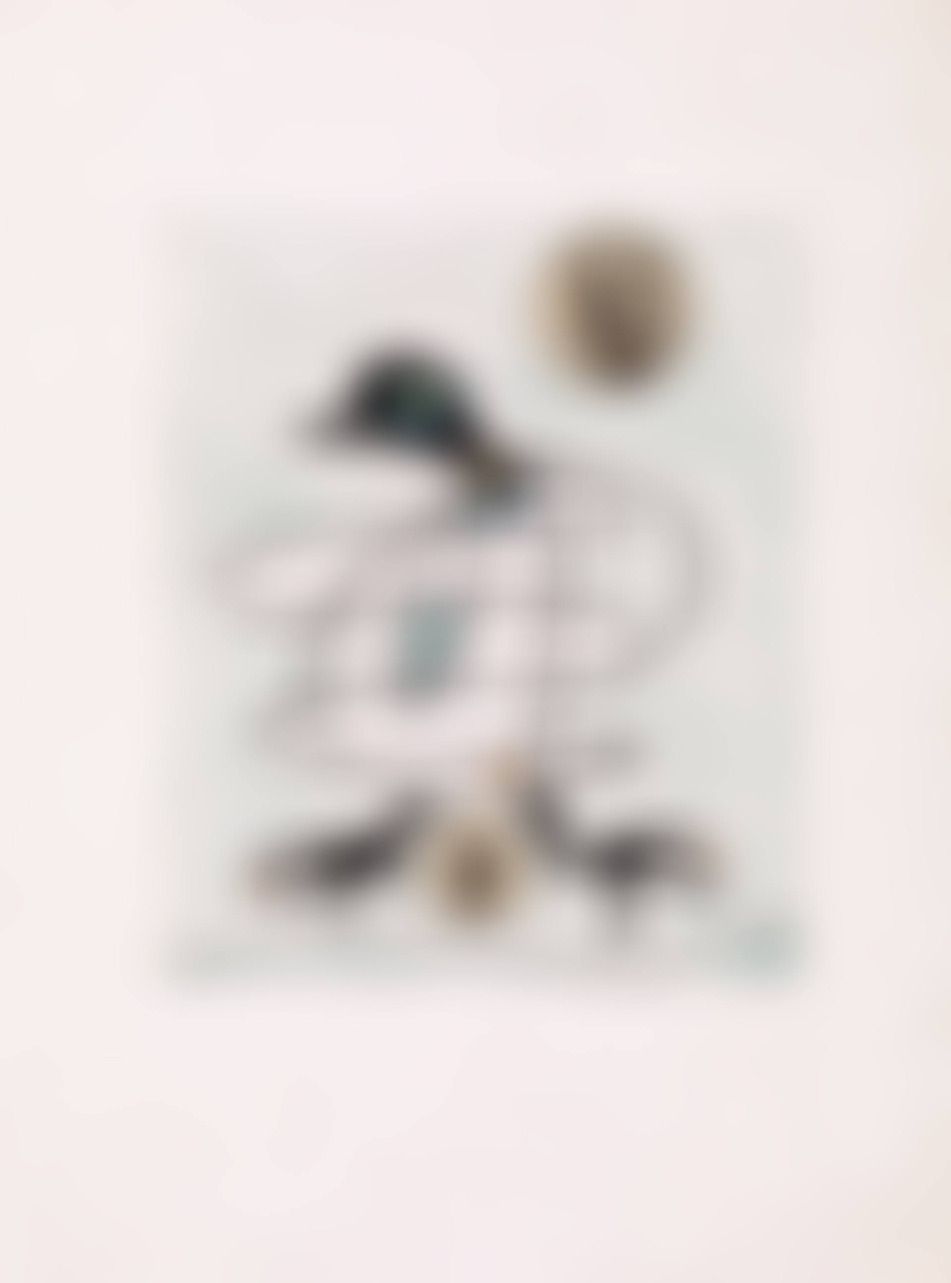 "Oiseaux en peril"; Suite (preview)