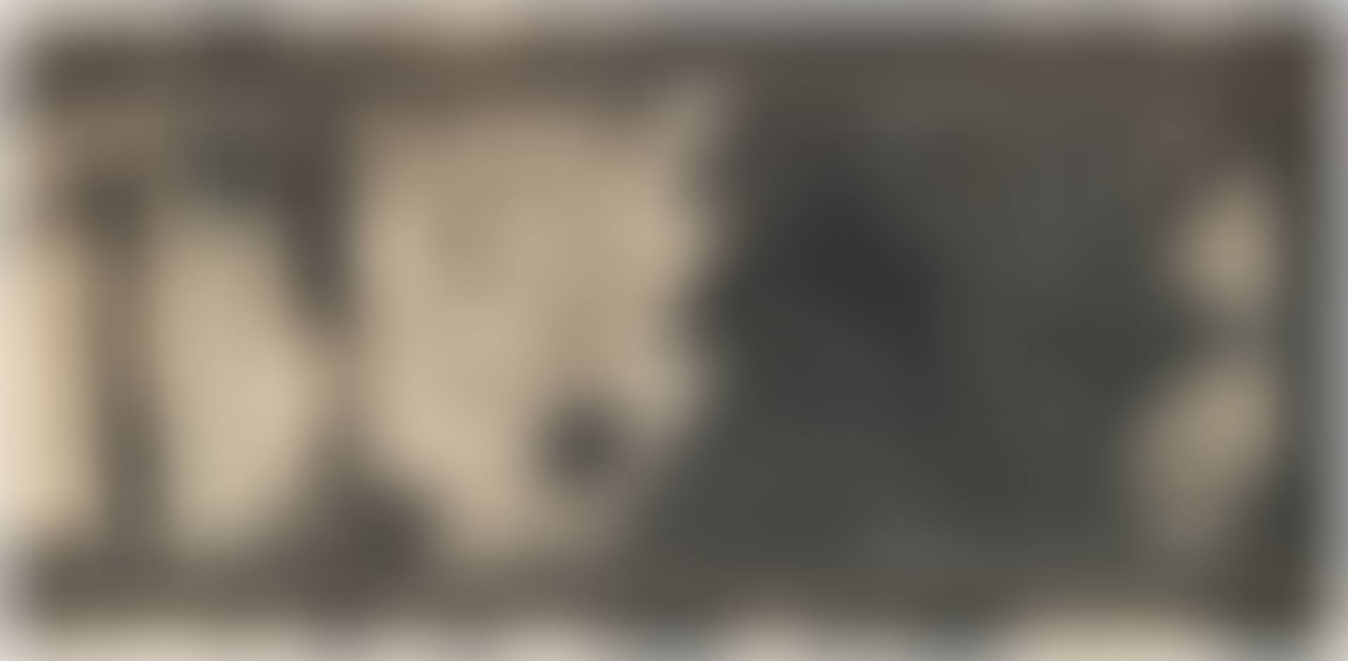 Rails (G. 89) (preview)