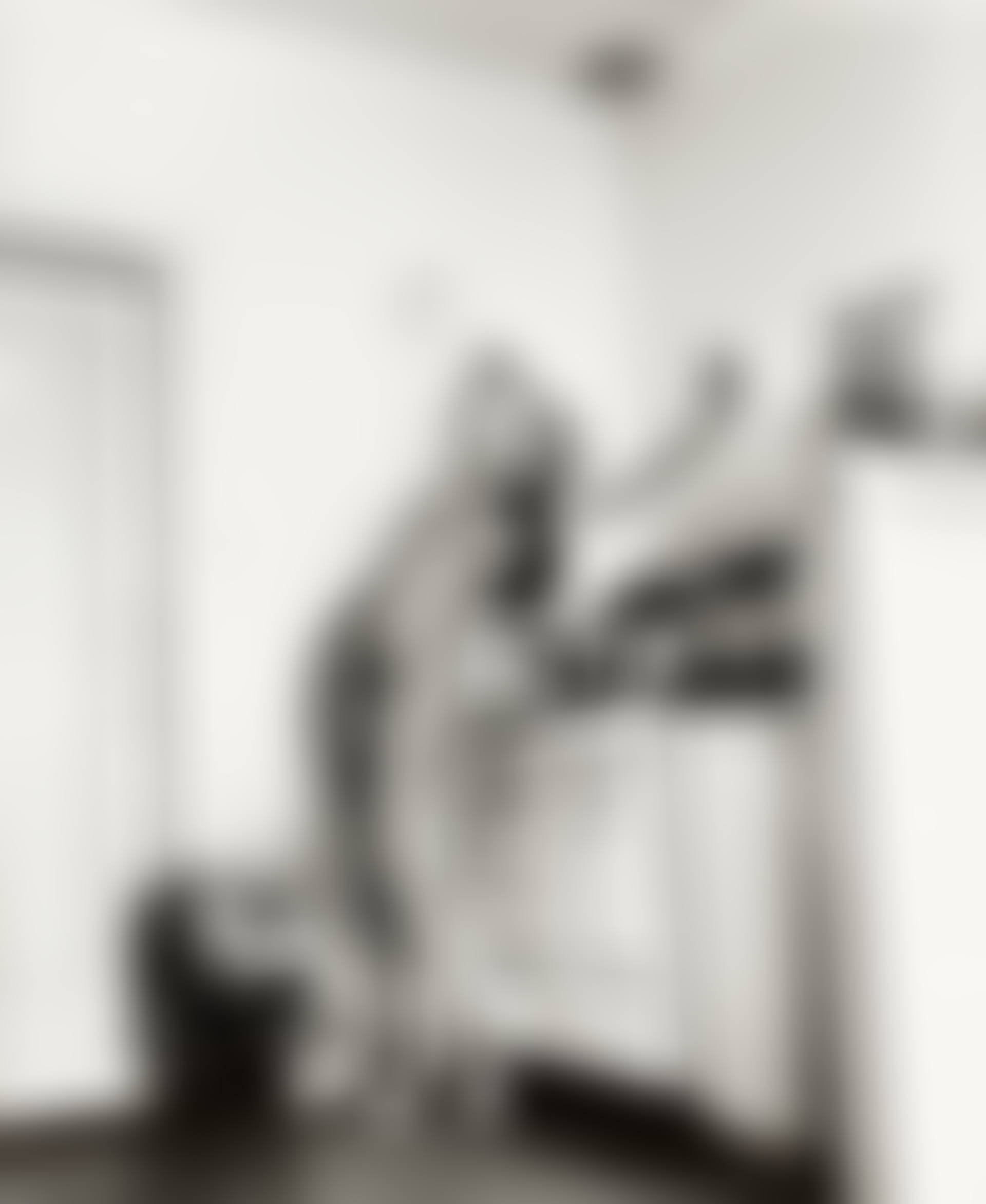 "Domestic Nude I, in my kitchen, Chateau Marmont, Hollywood, 1992" (preview)