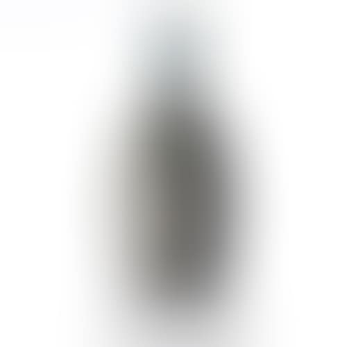 a stoneware vase (preview)