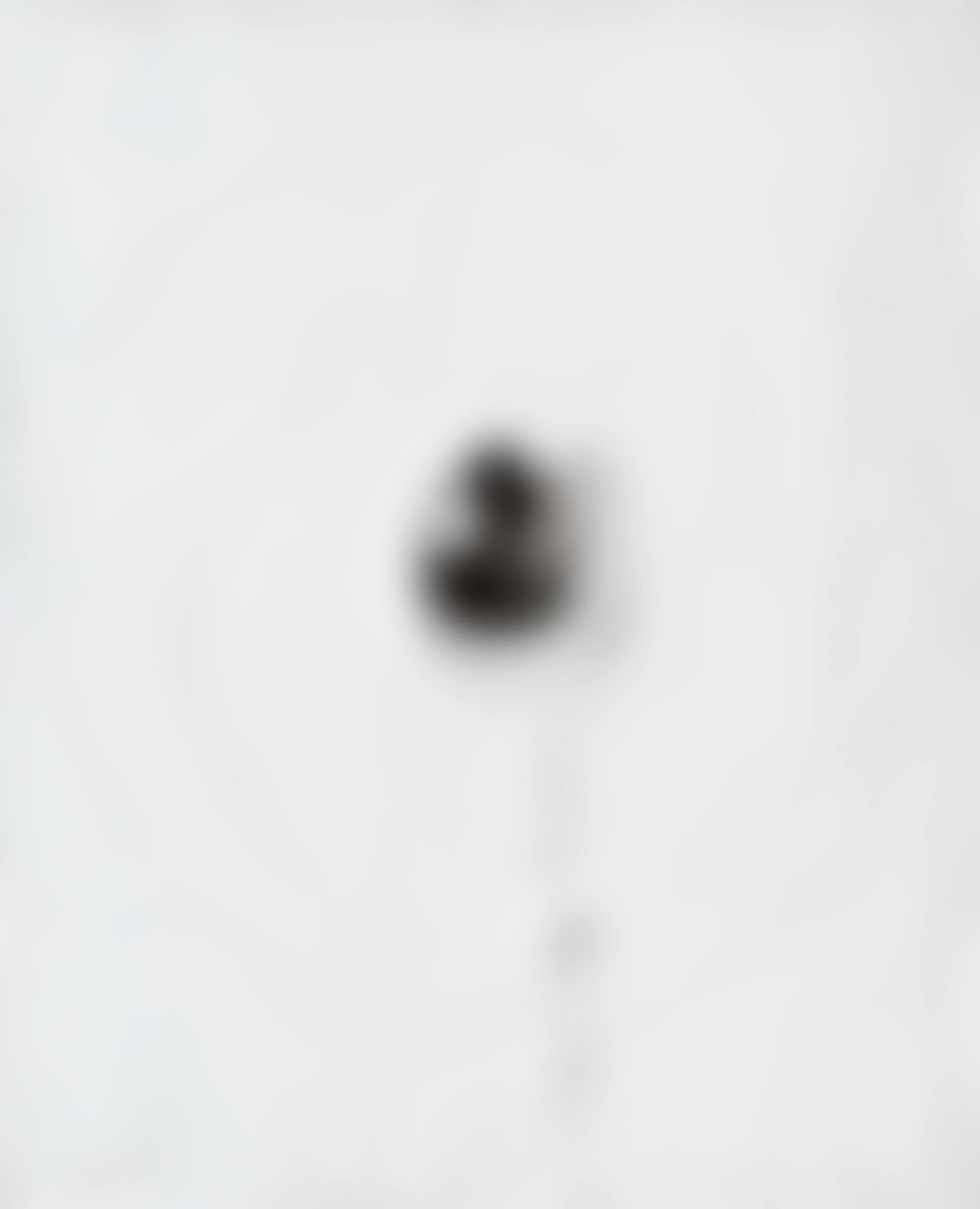 "Concetto Spaziale" (preview)