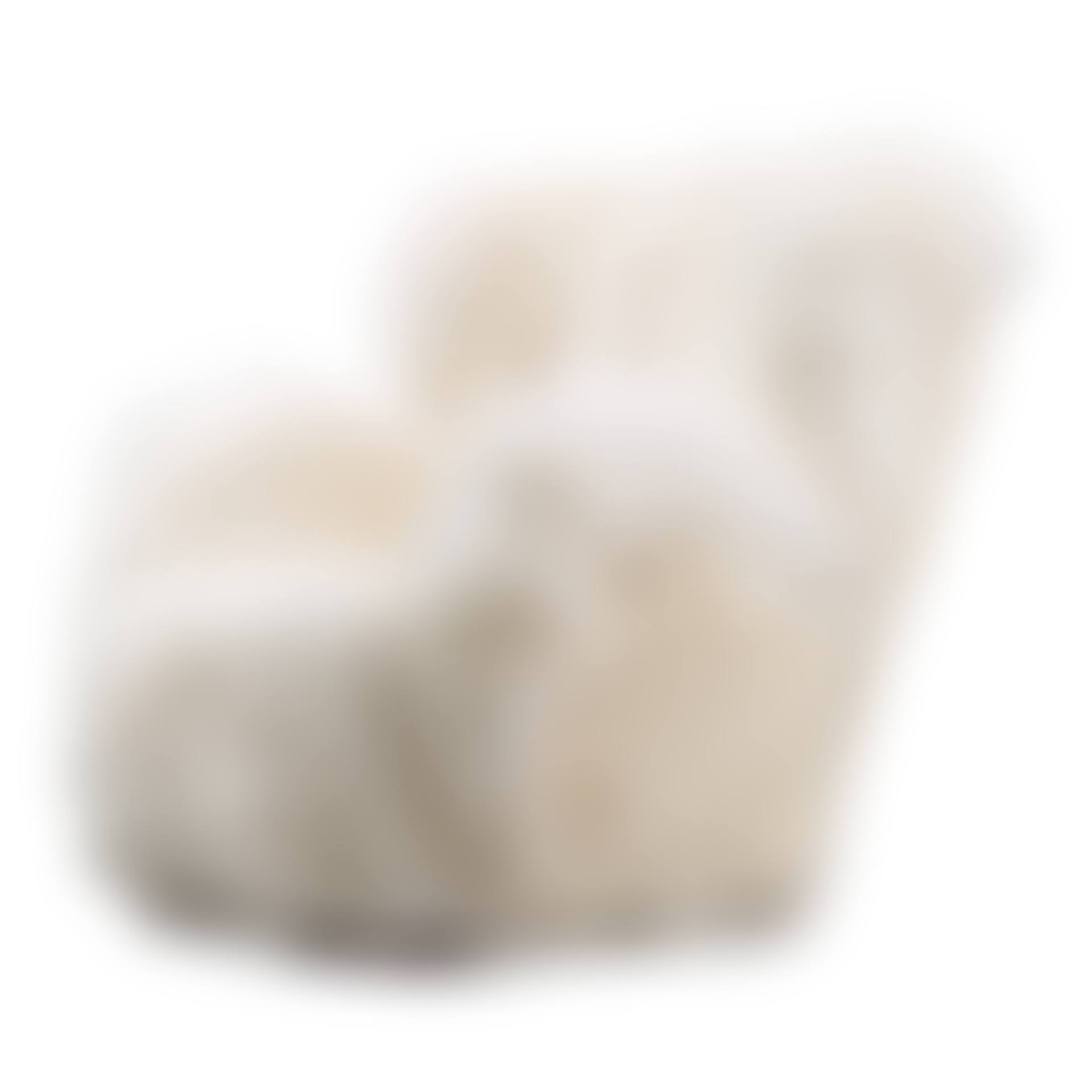 A Danish easy chair (preview)