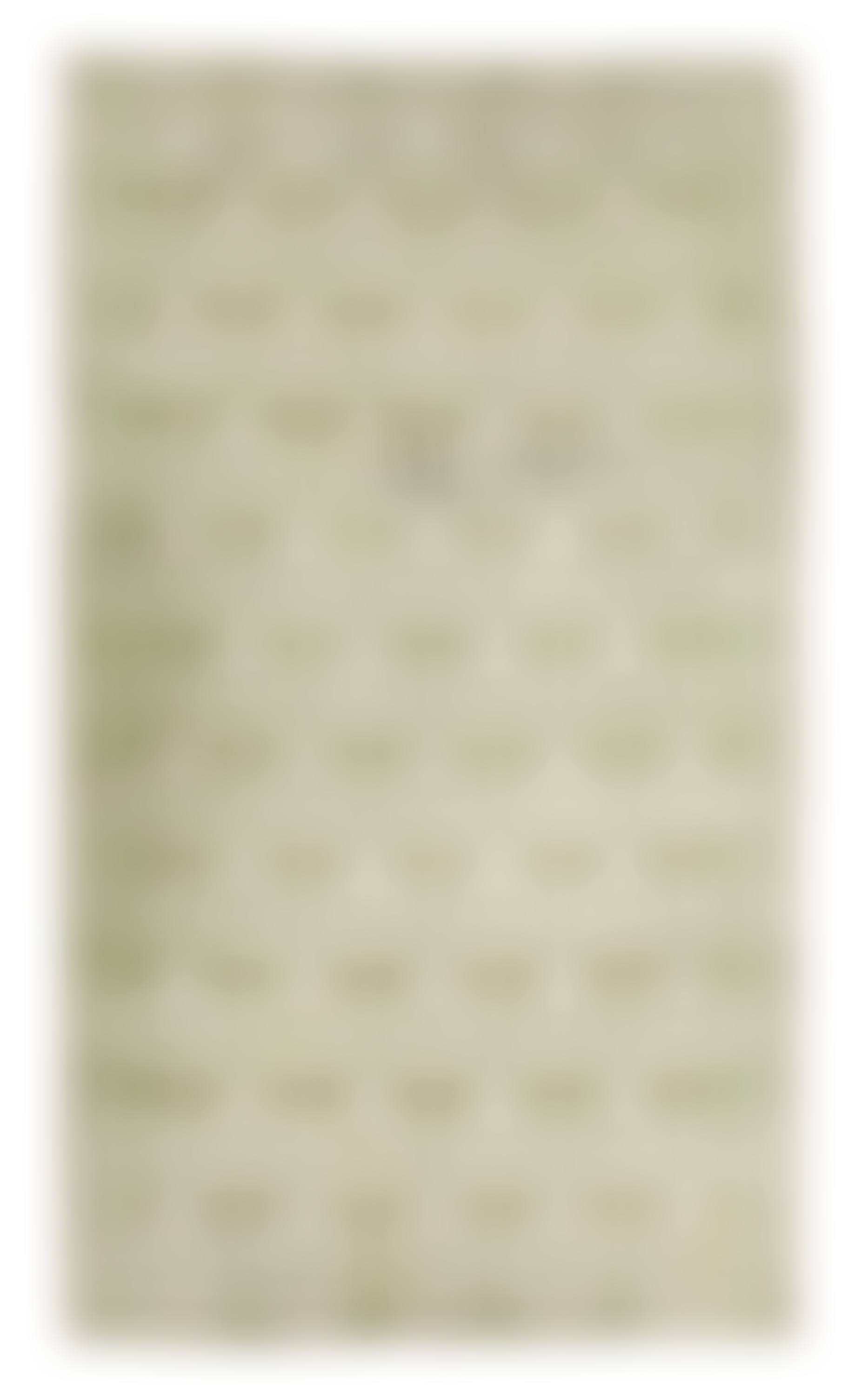 CARPET (preview)
