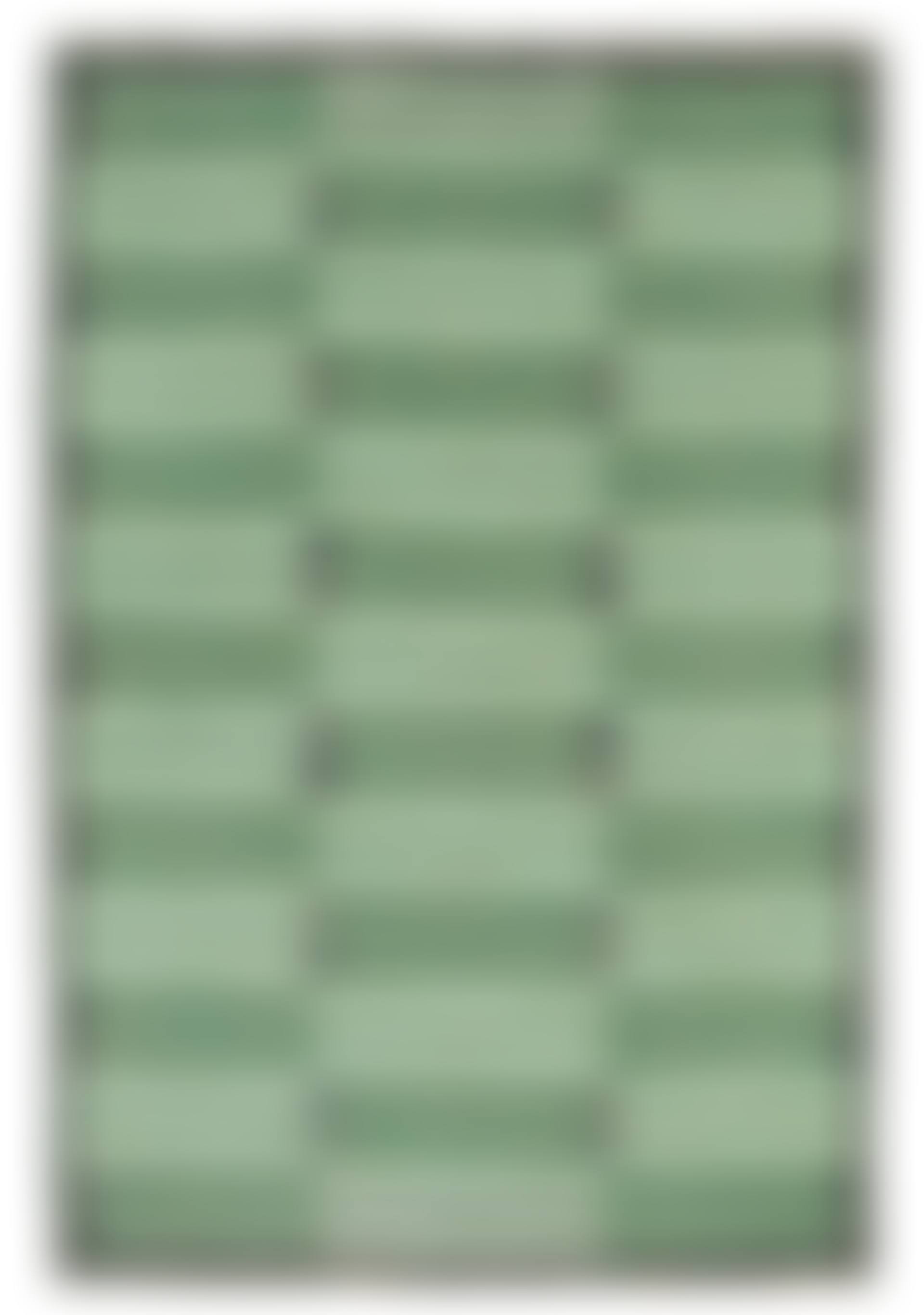 CARPET (preview)
