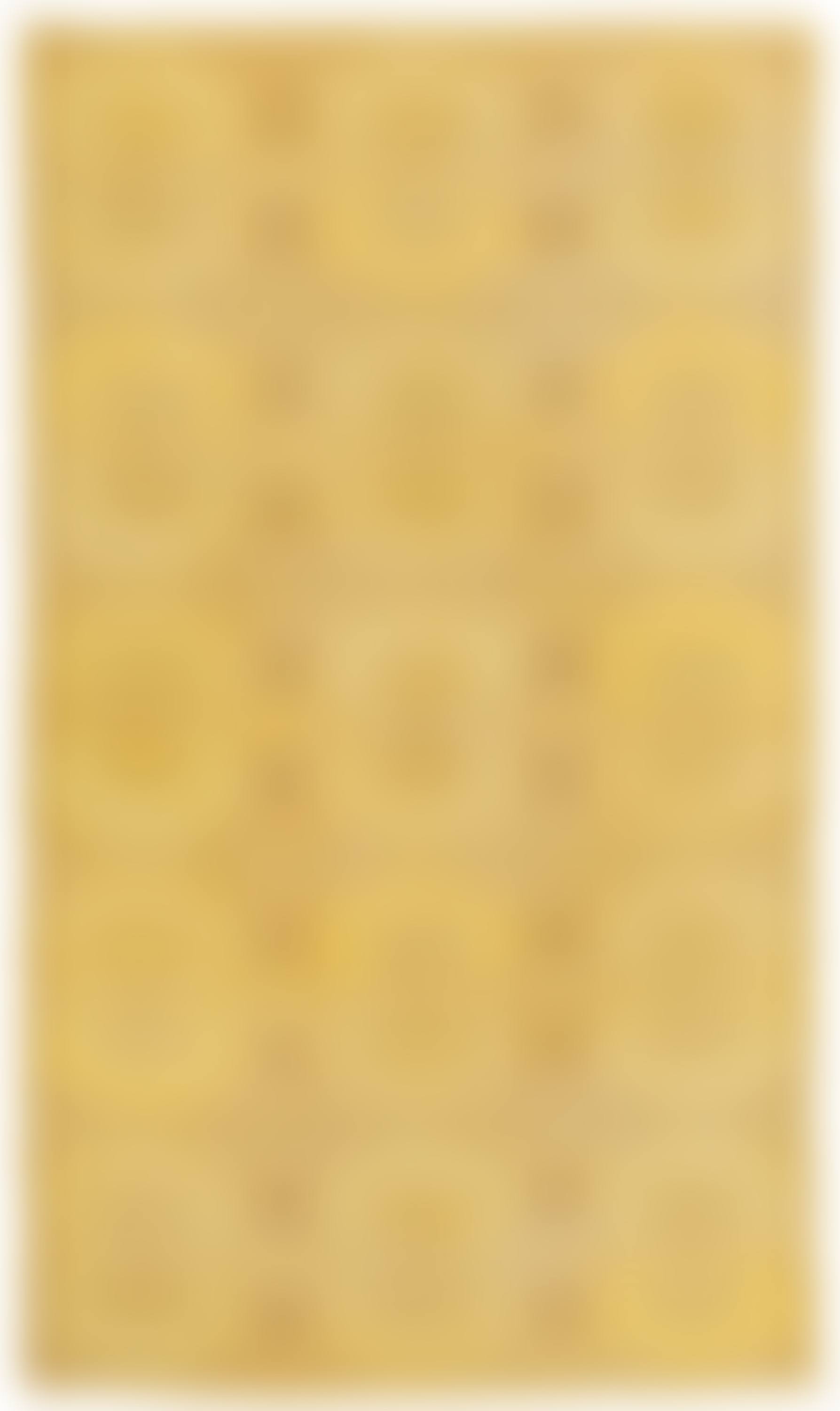 CARPET (preview)