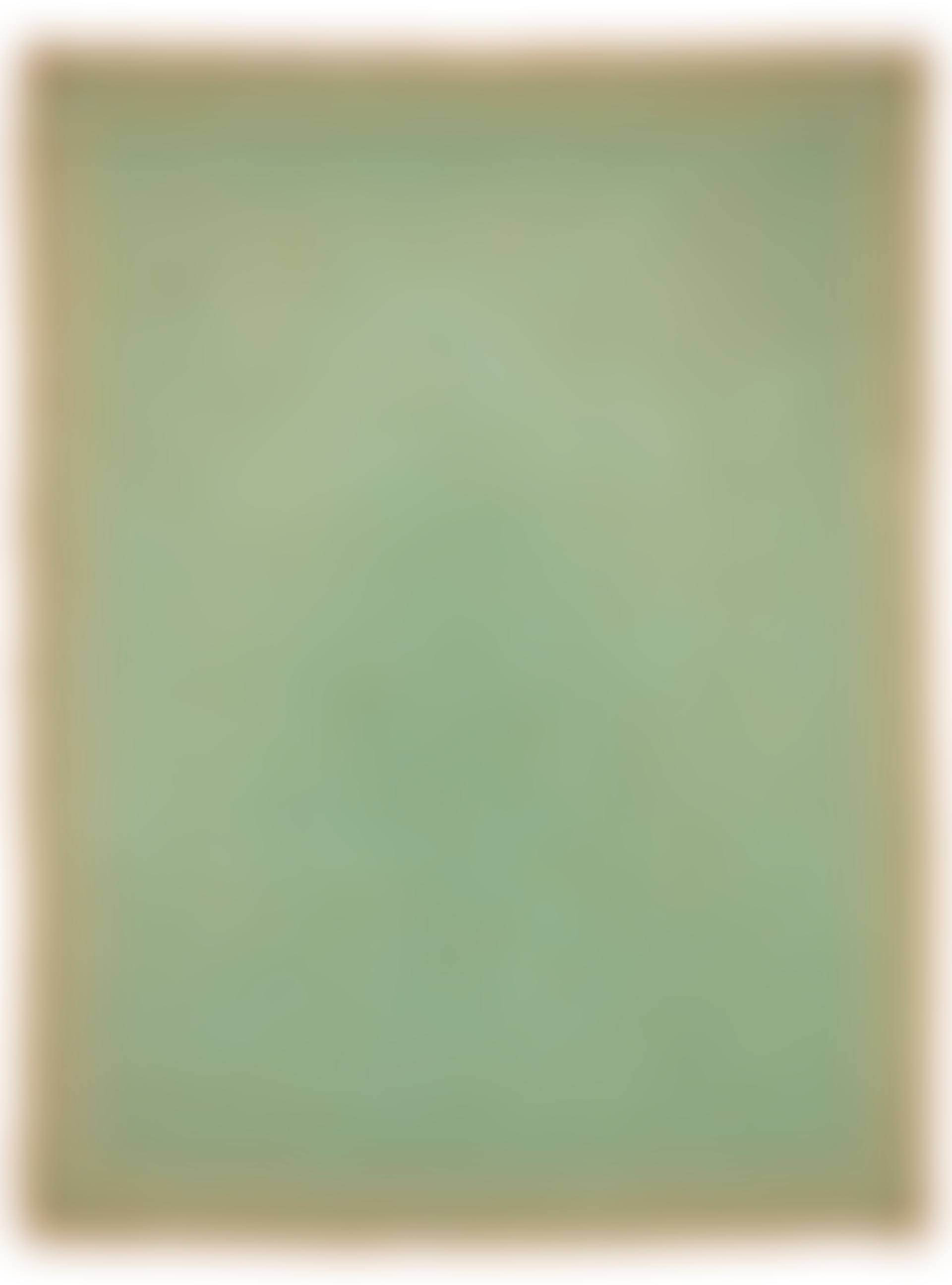 CARPET (preview)