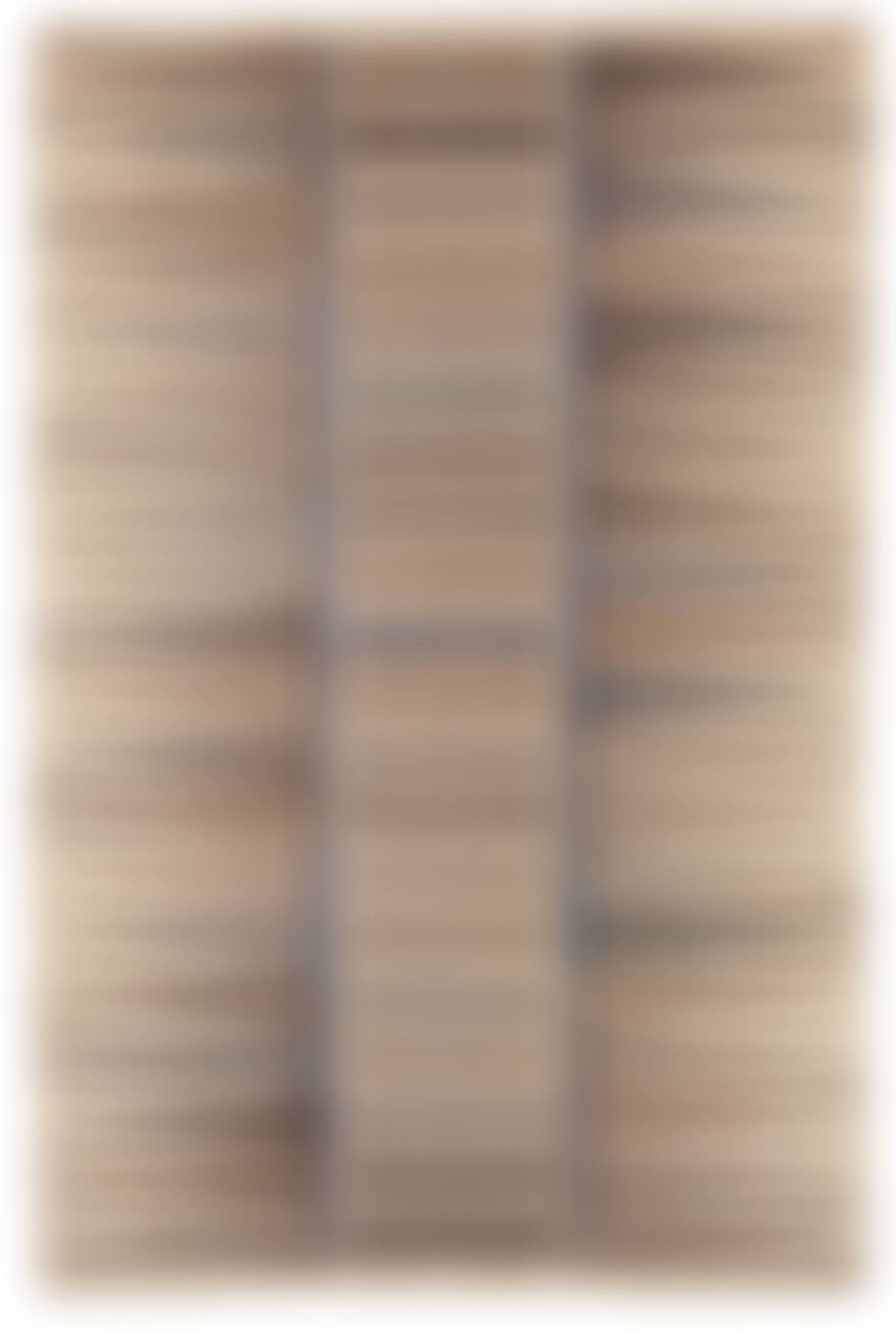 CARPET (preview)