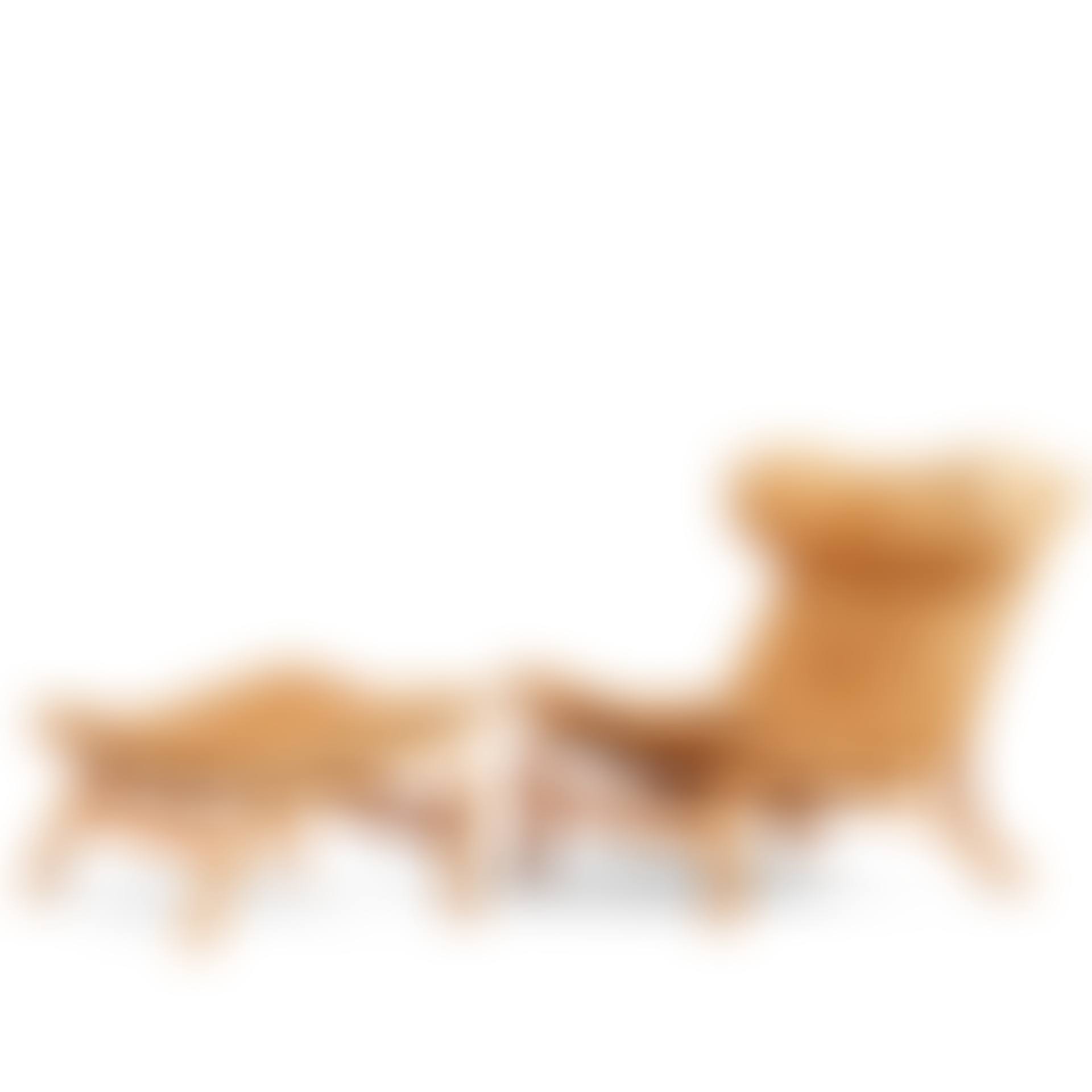 a "Scandi", easy chair and ottoman (preview)