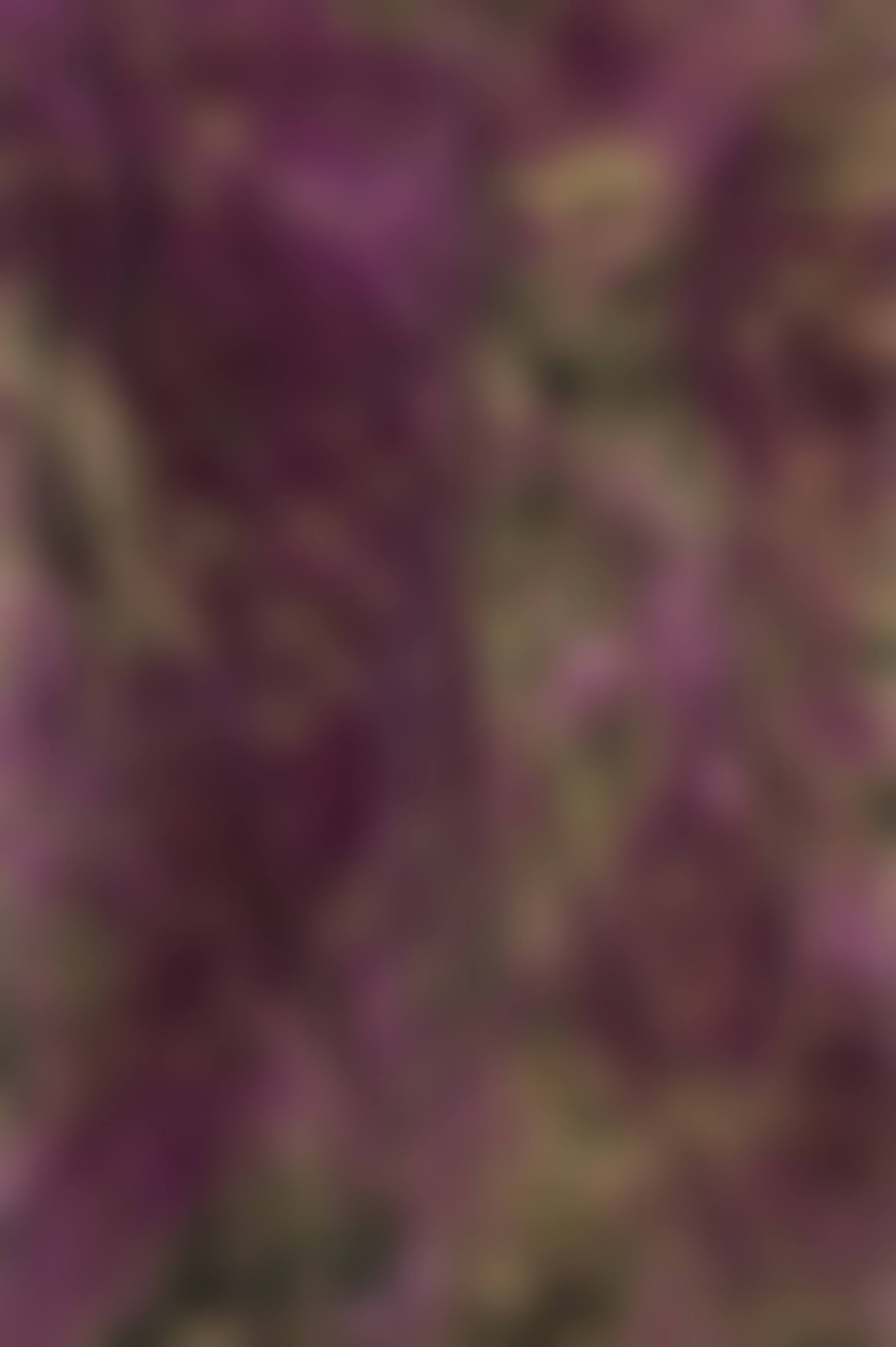 "Untitled" (preview)