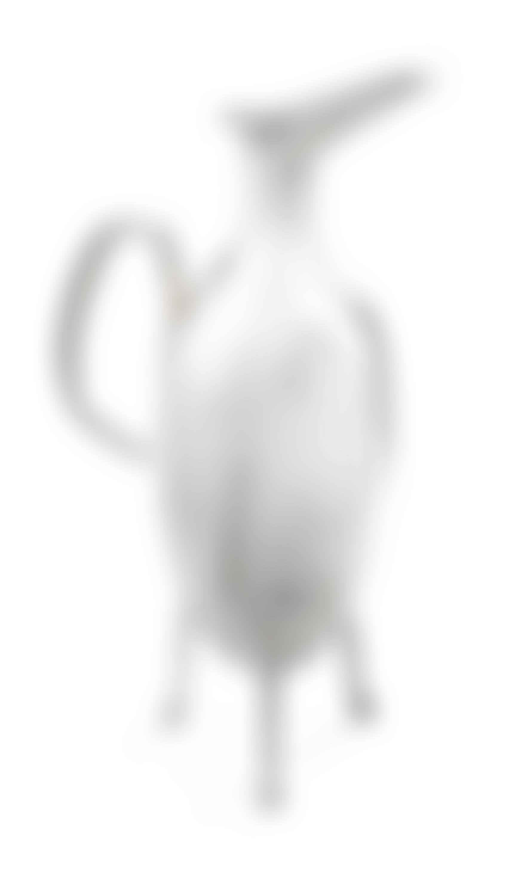 A WINE PITCHER (preview)