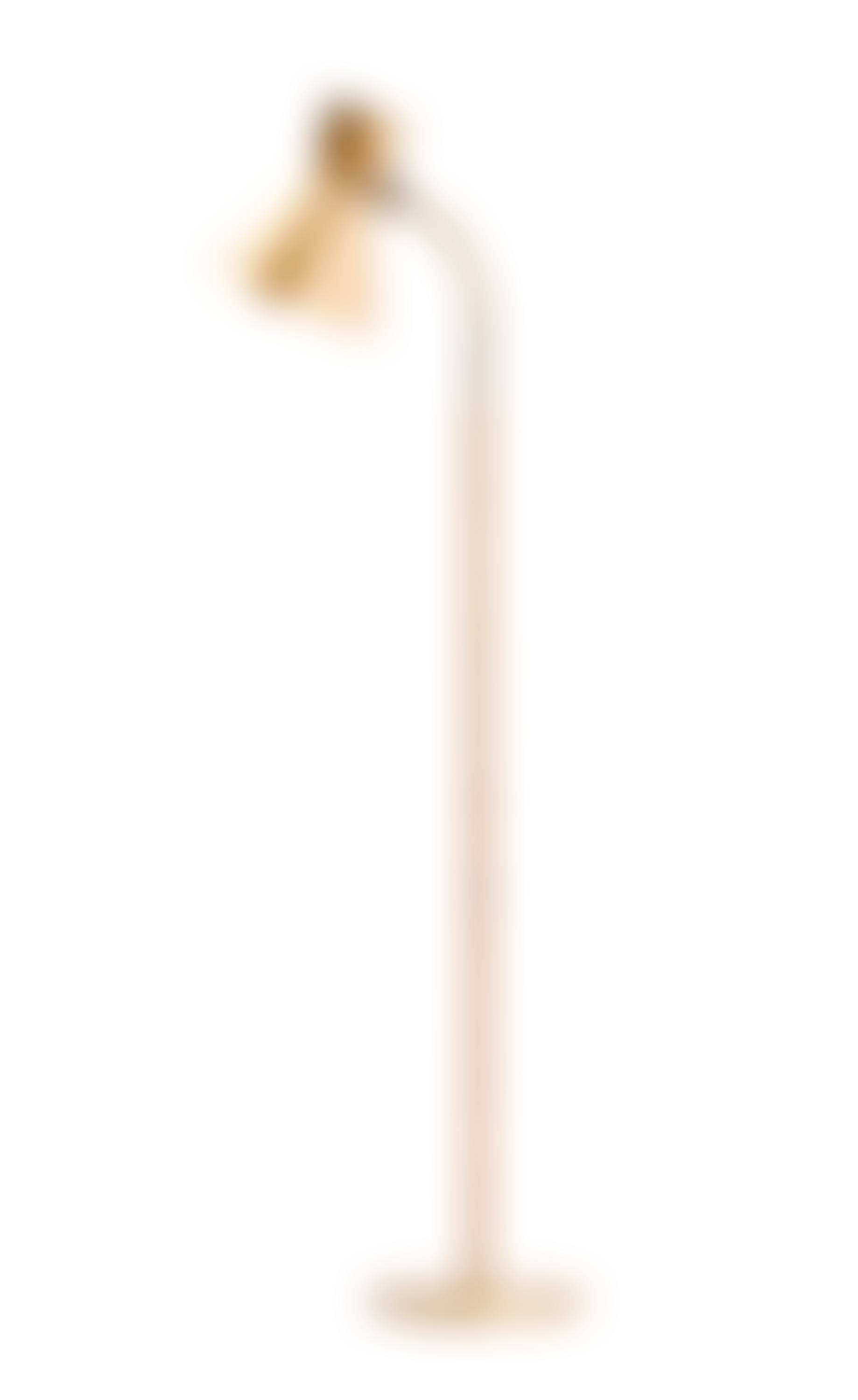 A FLOOR LAMP (preview)