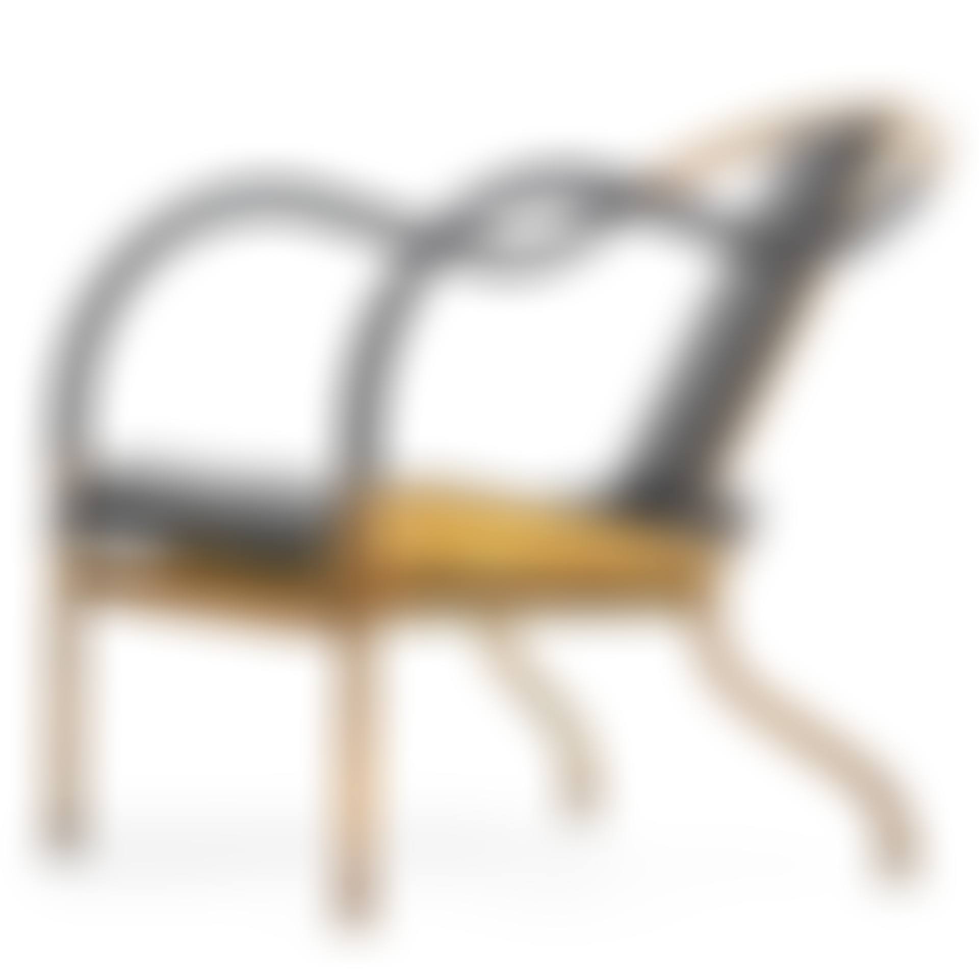 an "El Rey" brass and black leather armchair (preview)