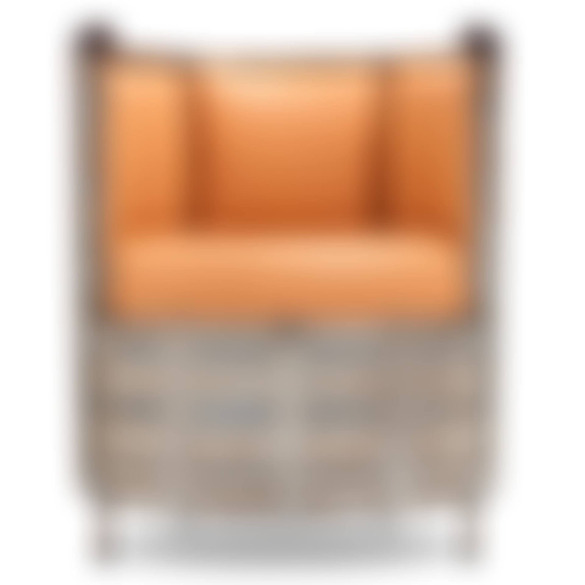 an easy chair, "Älgskinnsfåtöljen" (preview)