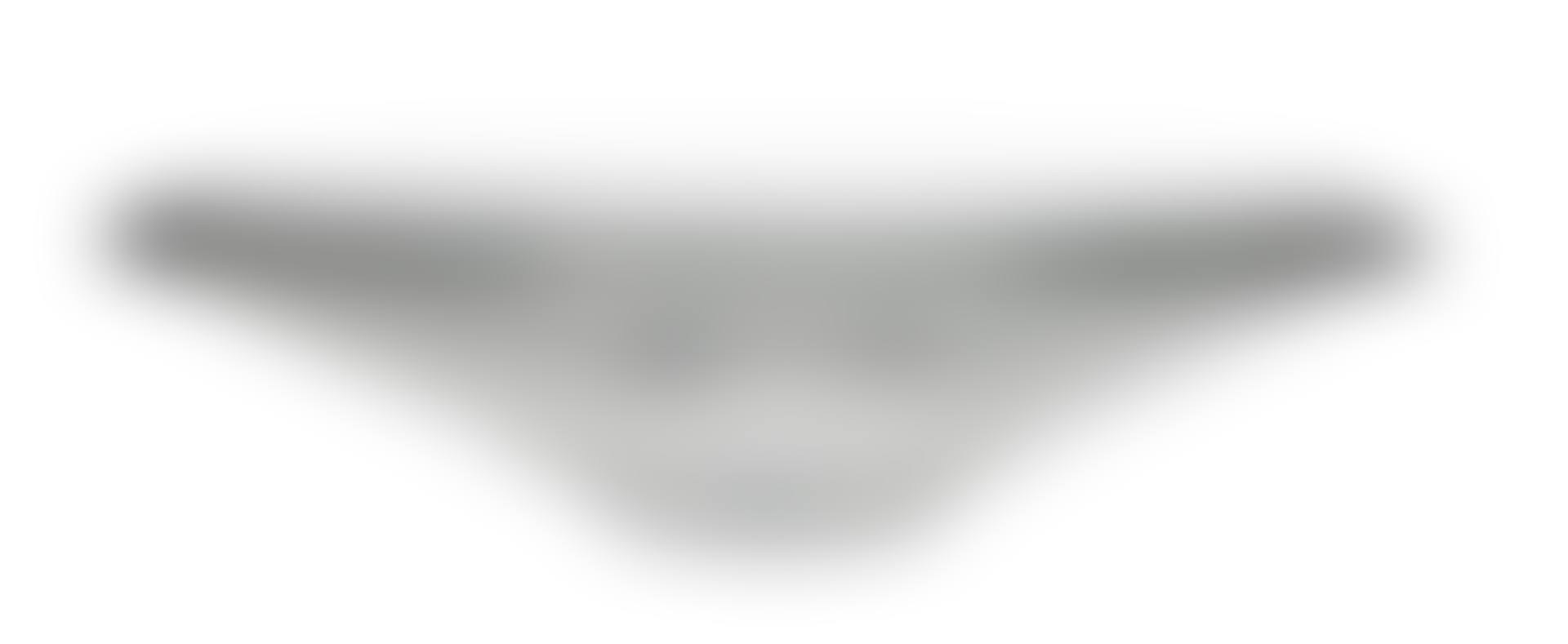 A BOWL (preview)