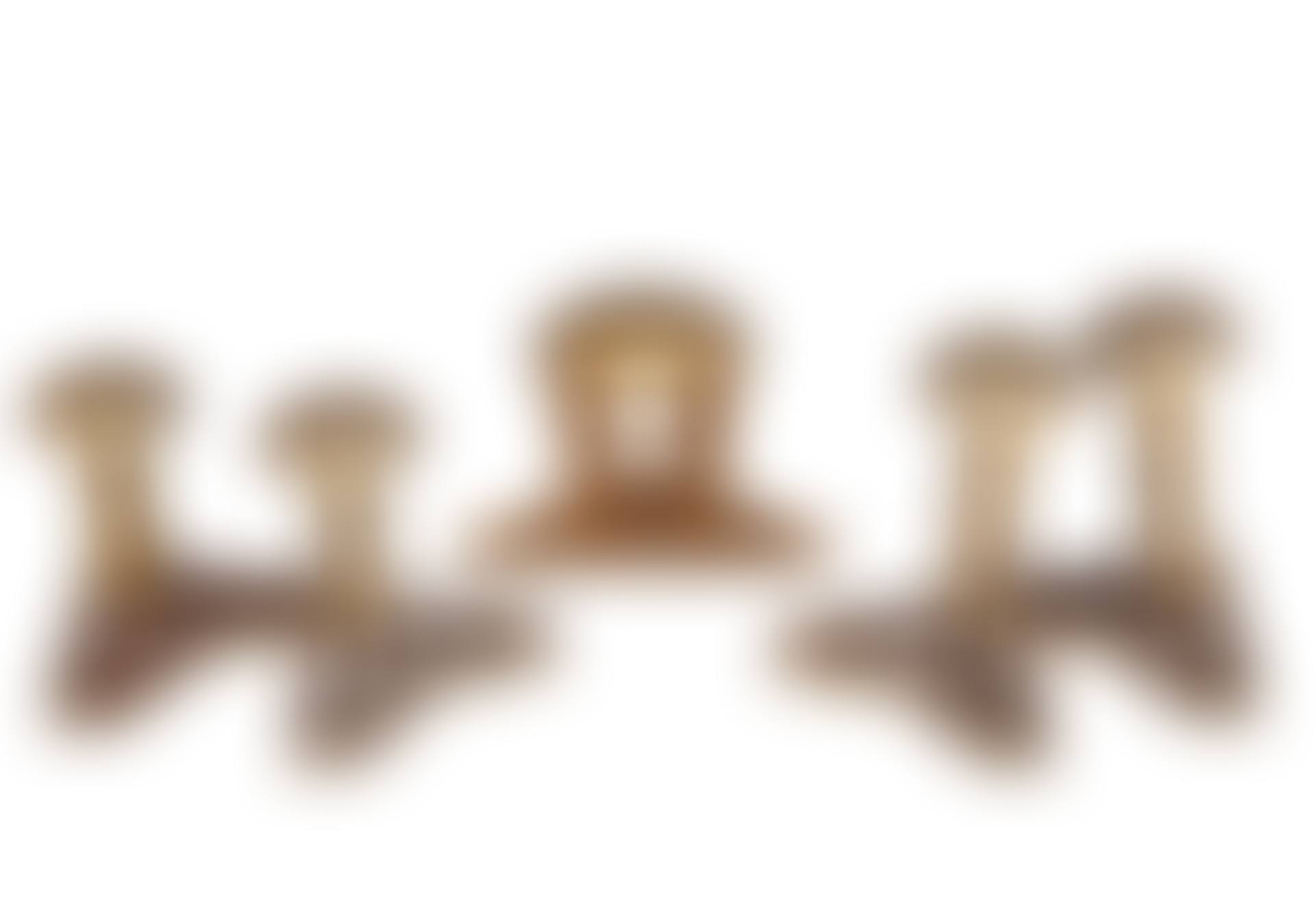 A SET OF FIVE BRONZE LEGS (preview)