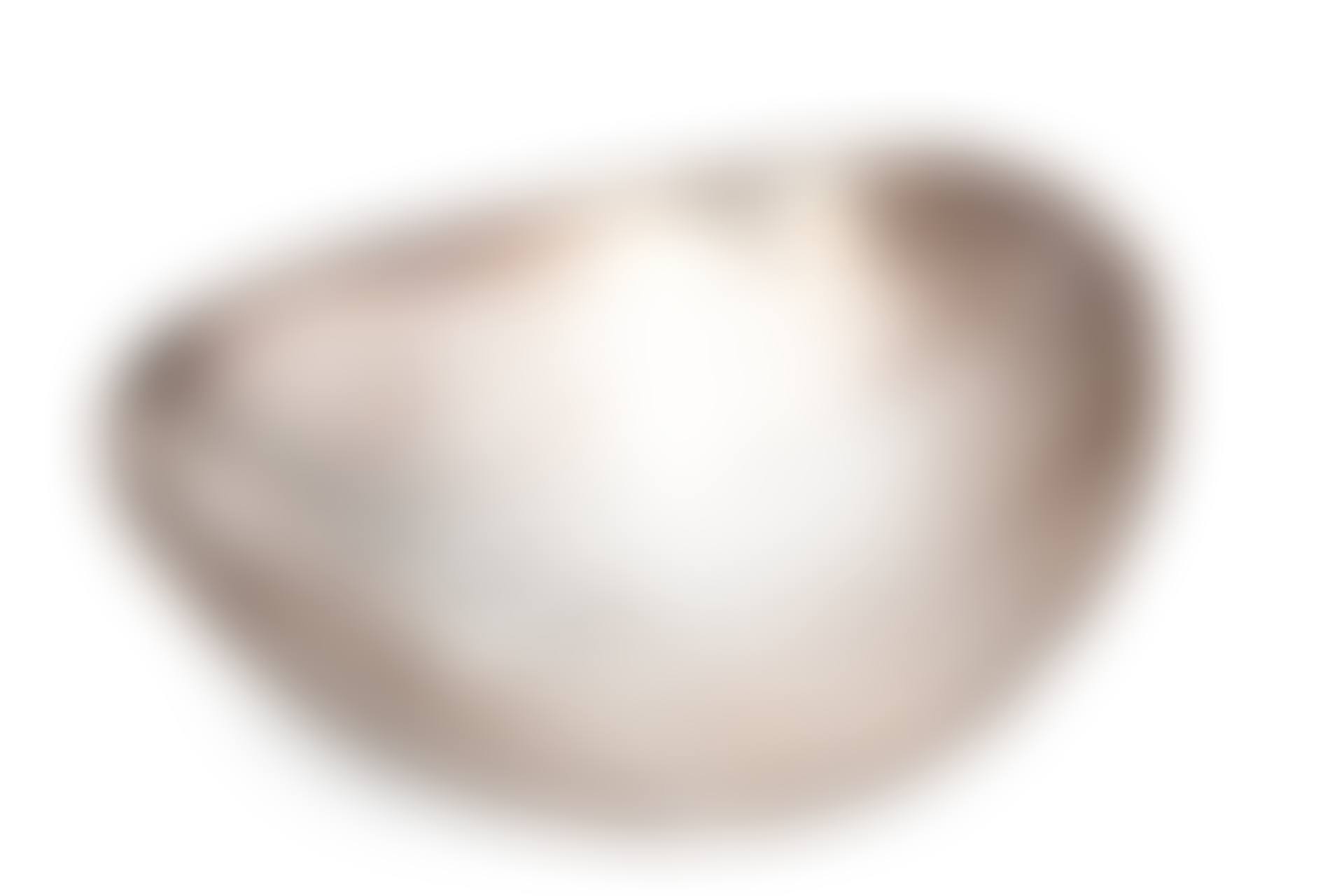 ASHTRAY (preview)