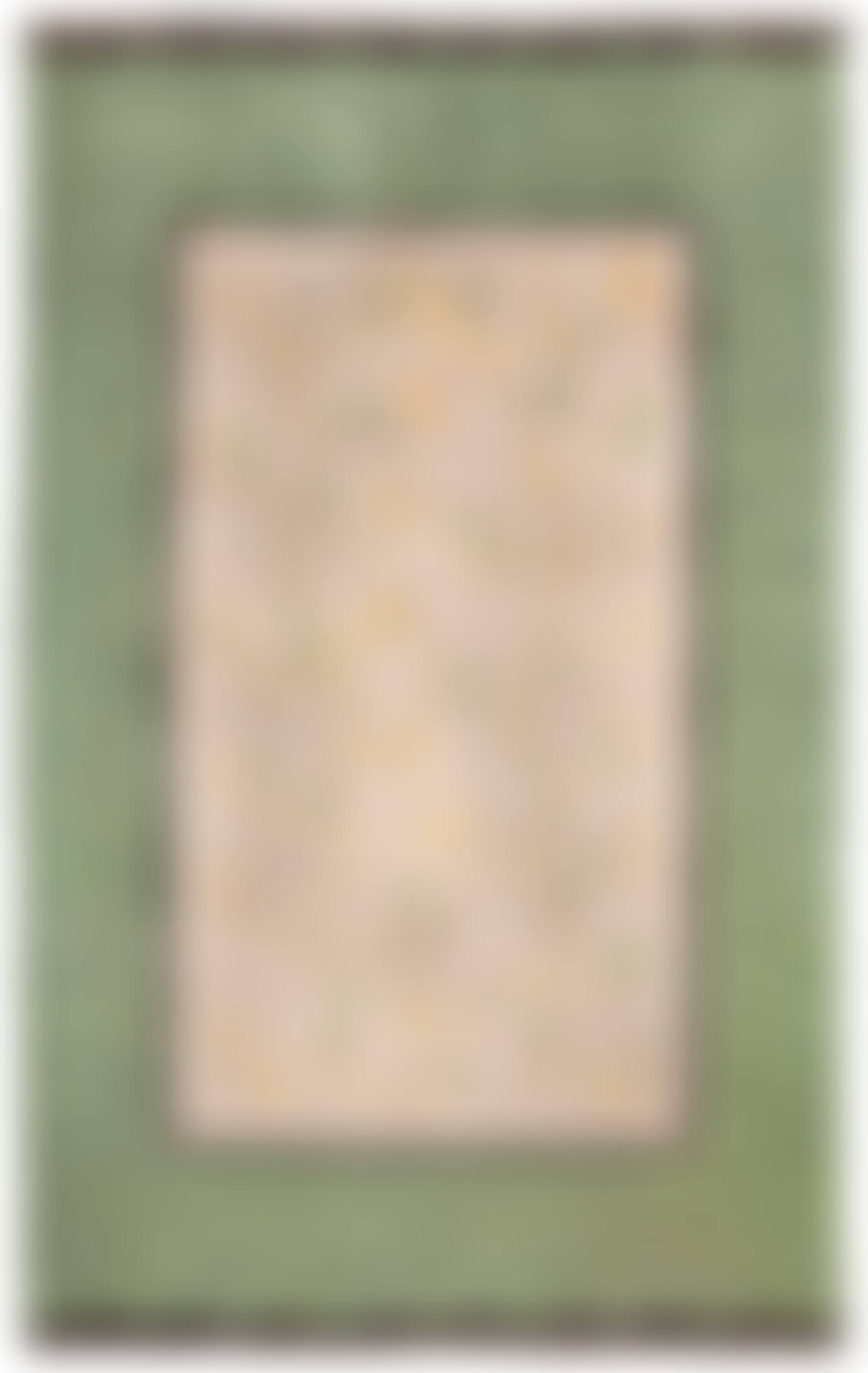 CARPET (preview)
