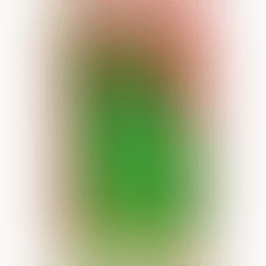 Statue of Liberty (Littmann P. 63) (preview)